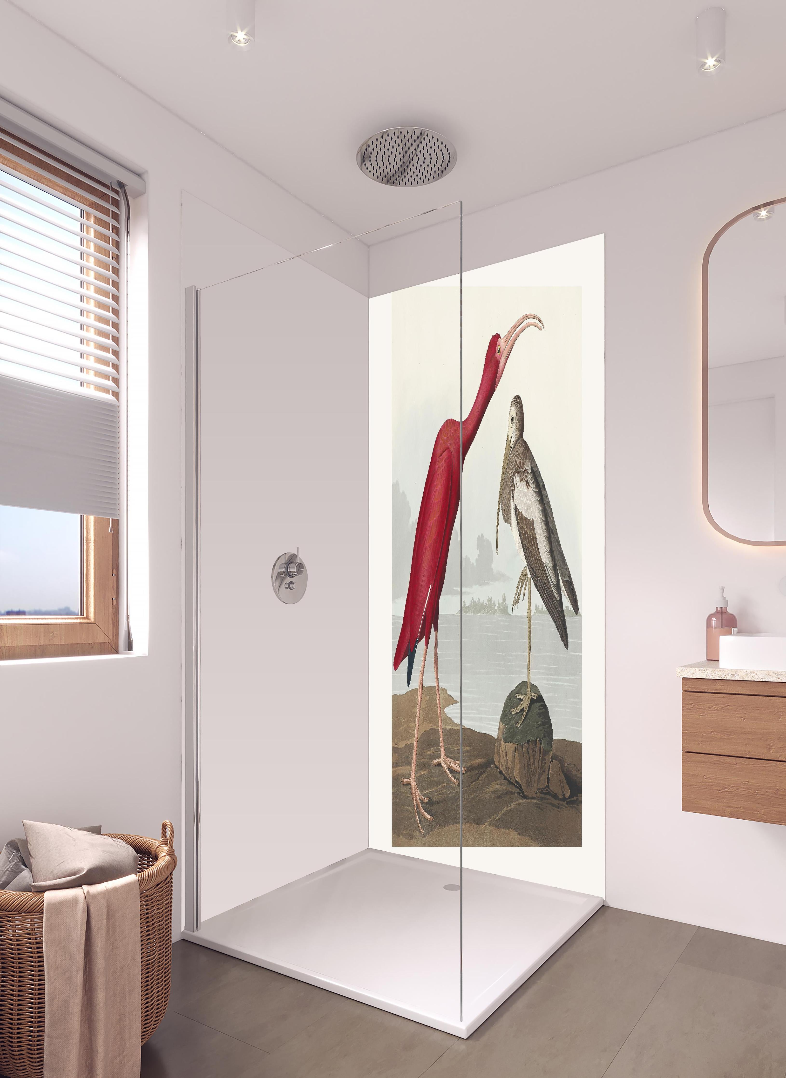 Duschrückwand - Scharlachsichler Portrait - John James Audubon in hellem Badezimmer mit Regenduschkopf - zweiteilige Eck-Duschrückwand