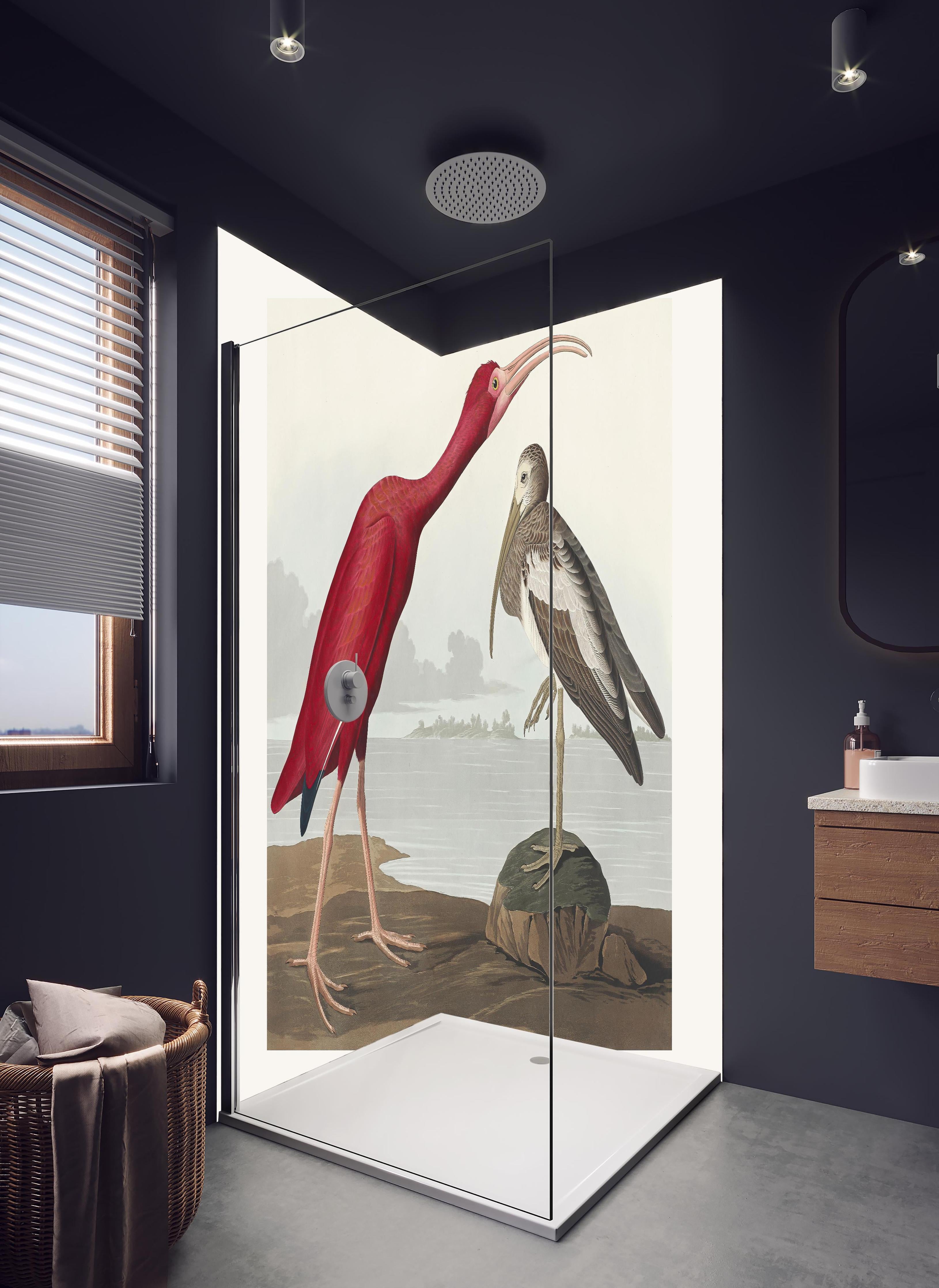Duschrückwand - Scharlachsichler Portrait - John James Audubon in hellem Badezimmer mit Regenduschkopf - zweiteilige Eck-Duschrückwand