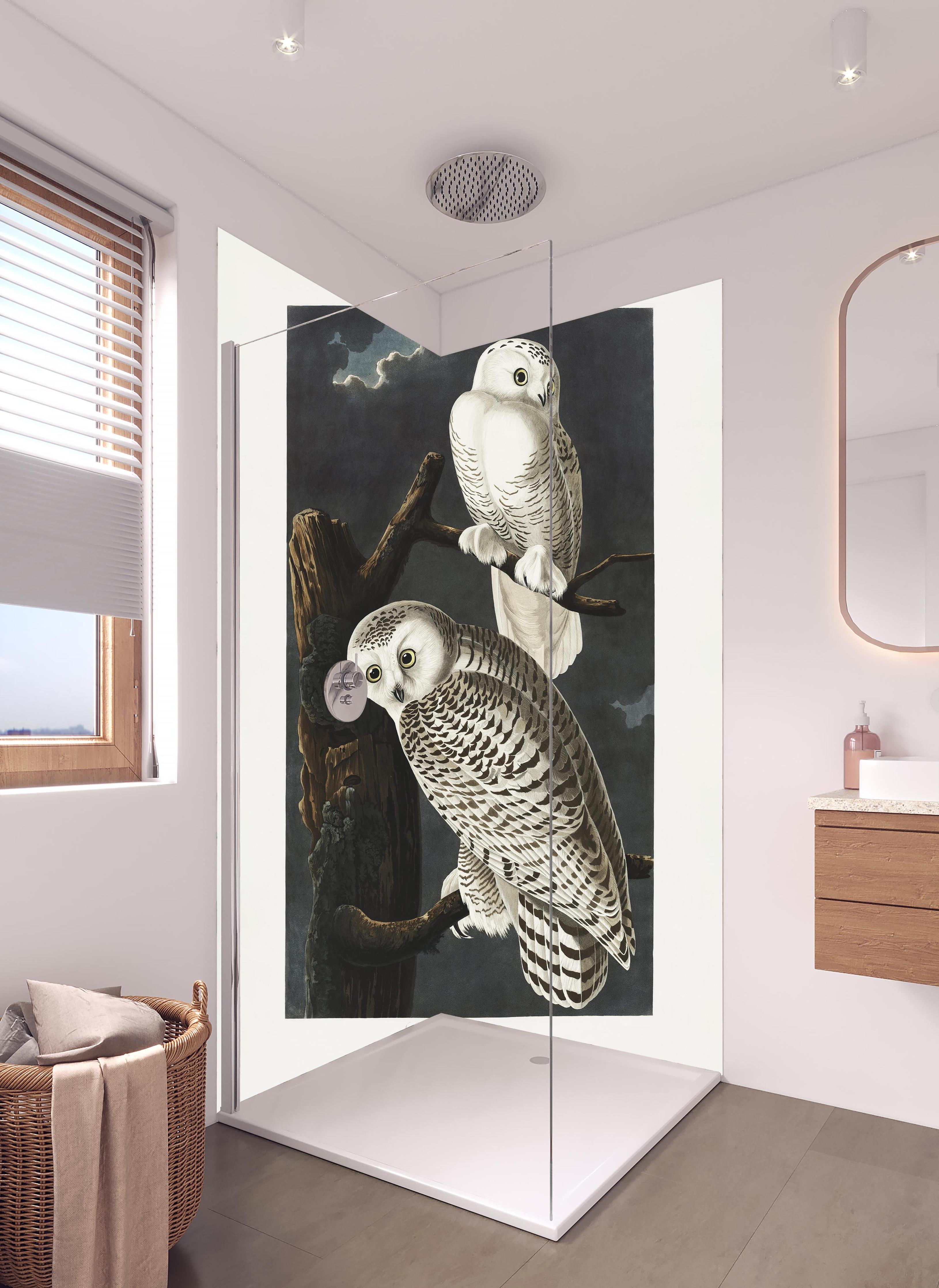 Duschrückwand - Schneeweiße Eulen - John James Audubon in hellem Badezimmer mit Regenduschkopf - zweiteilige Eck-Duschrückwand