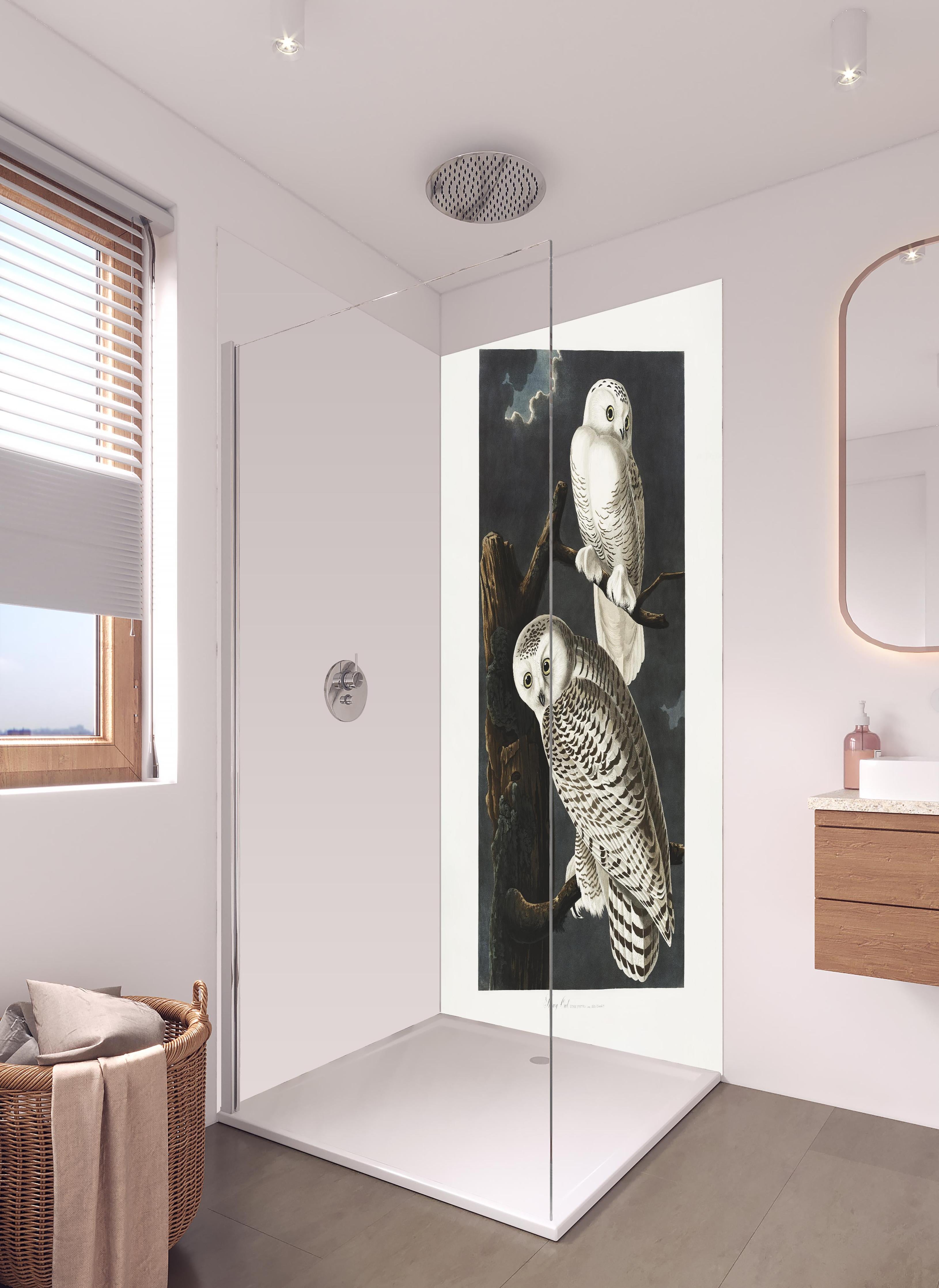 Duschrückwand - Schneeweiße Eulen - John James Audubon in hellem Badezimmer mit Regenduschkopf - zweiteilige Eck-Duschrückwand