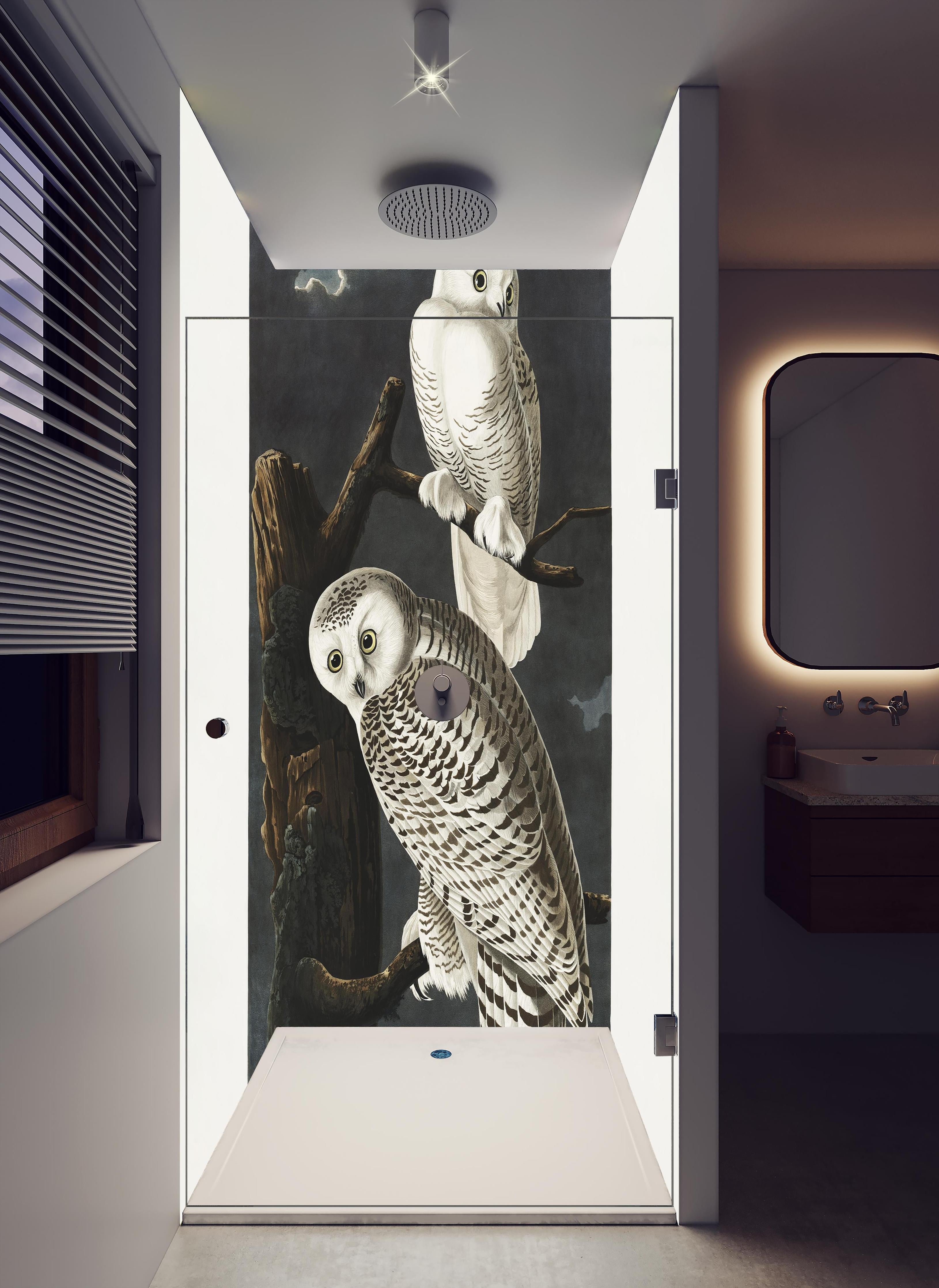 Duschrückwand - Schneeweiße Eulen - John James Audubon in hellem Badezimmer mit Regenduschkopf - zweiteilige Eck-Duschrückwand