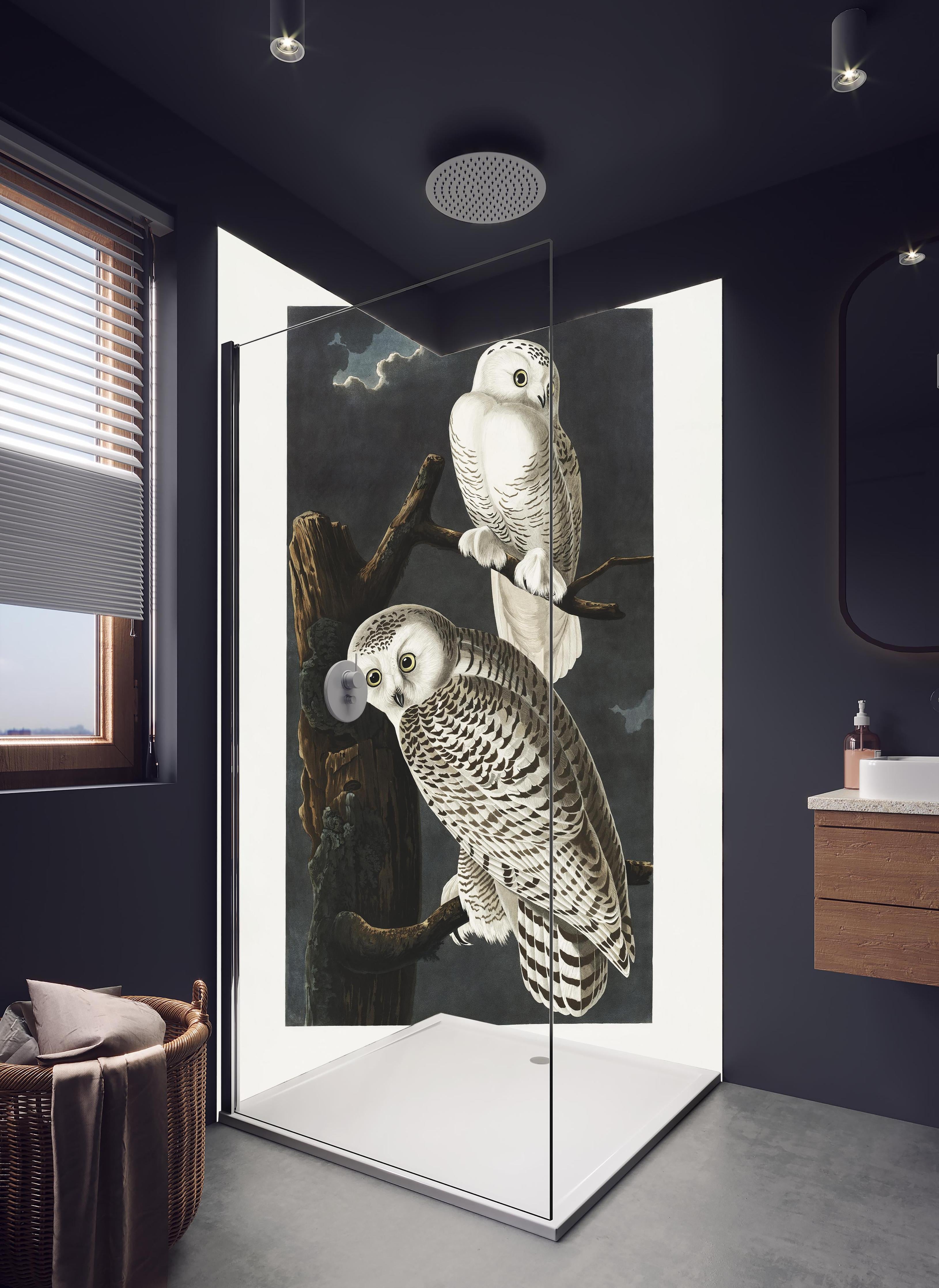 Duschrückwand - Schneeweiße Eulen - John James Audubon in hellem Badezimmer mit Regenduschkopf - zweiteilige Eck-Duschrückwand