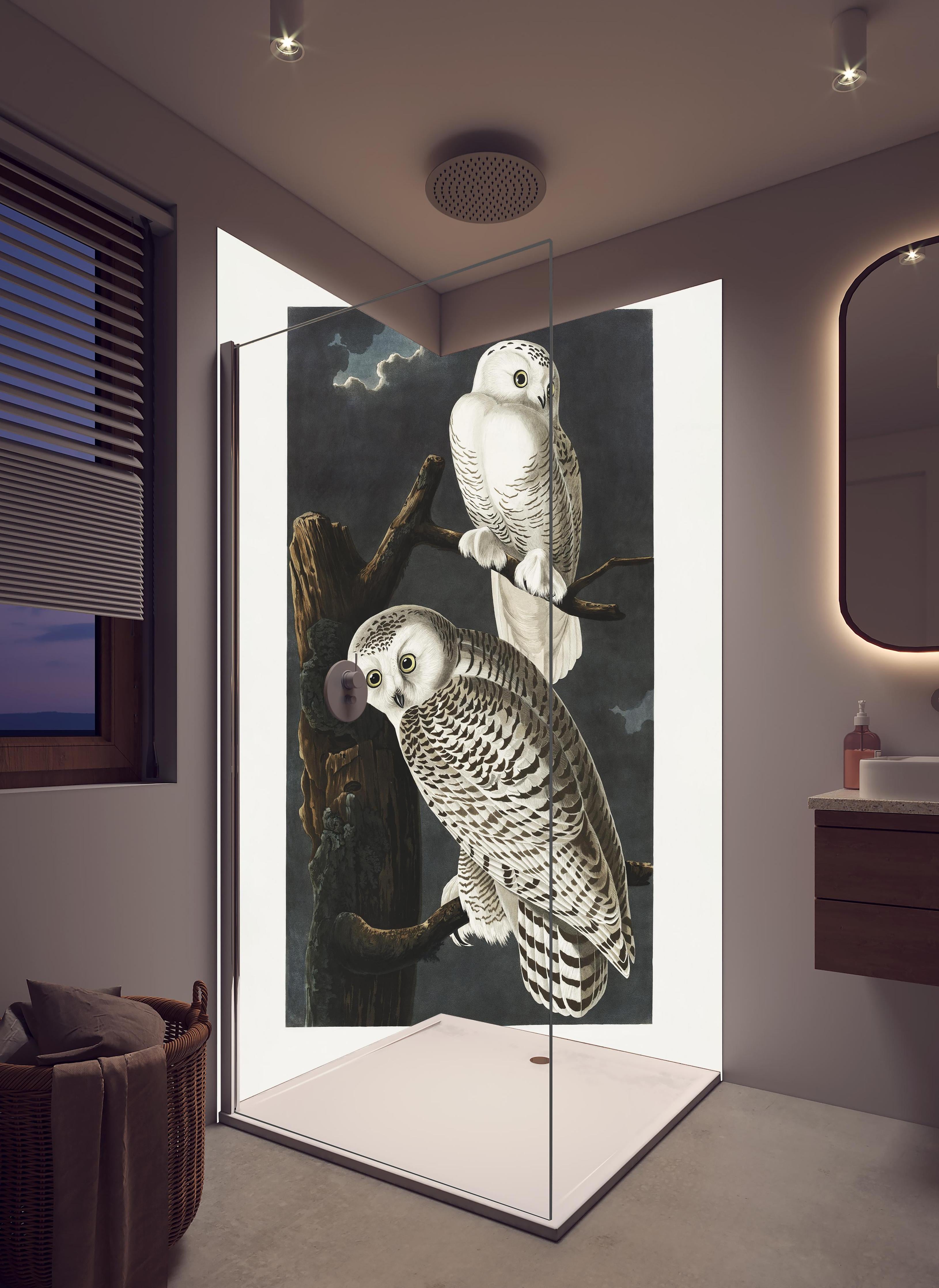 Duschrückwand - Schneeweiße Eulen - John James Audubon in hellem Badezimmer mit Regenduschkopf - zweiteilige Eck-Duschrückwand