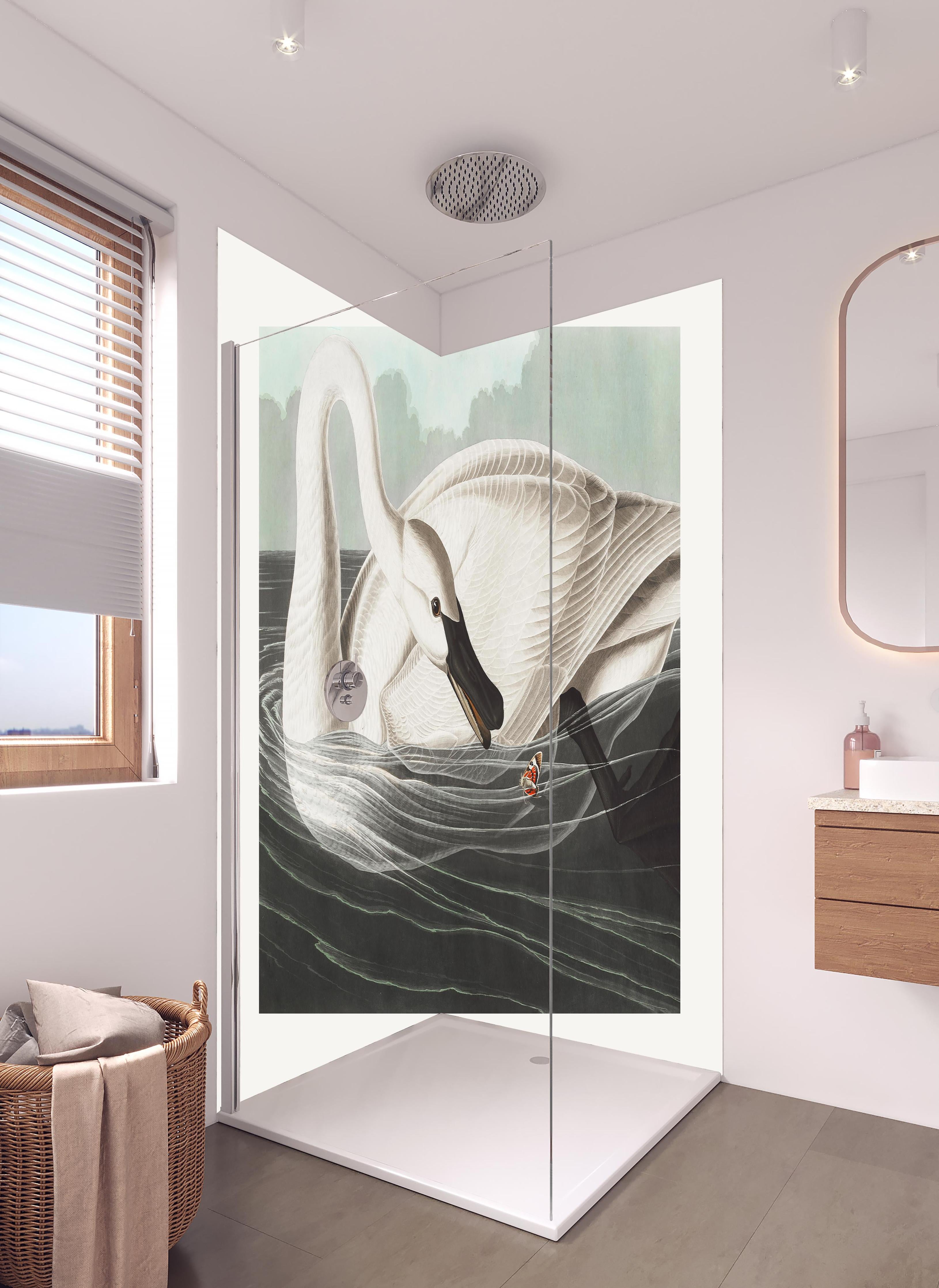 Duschrückwand - Schneeweißer Schwan - John James Audubon in hellem Badezimmer mit Regenduschkopf - zweiteilige Eck-Duschrückwand