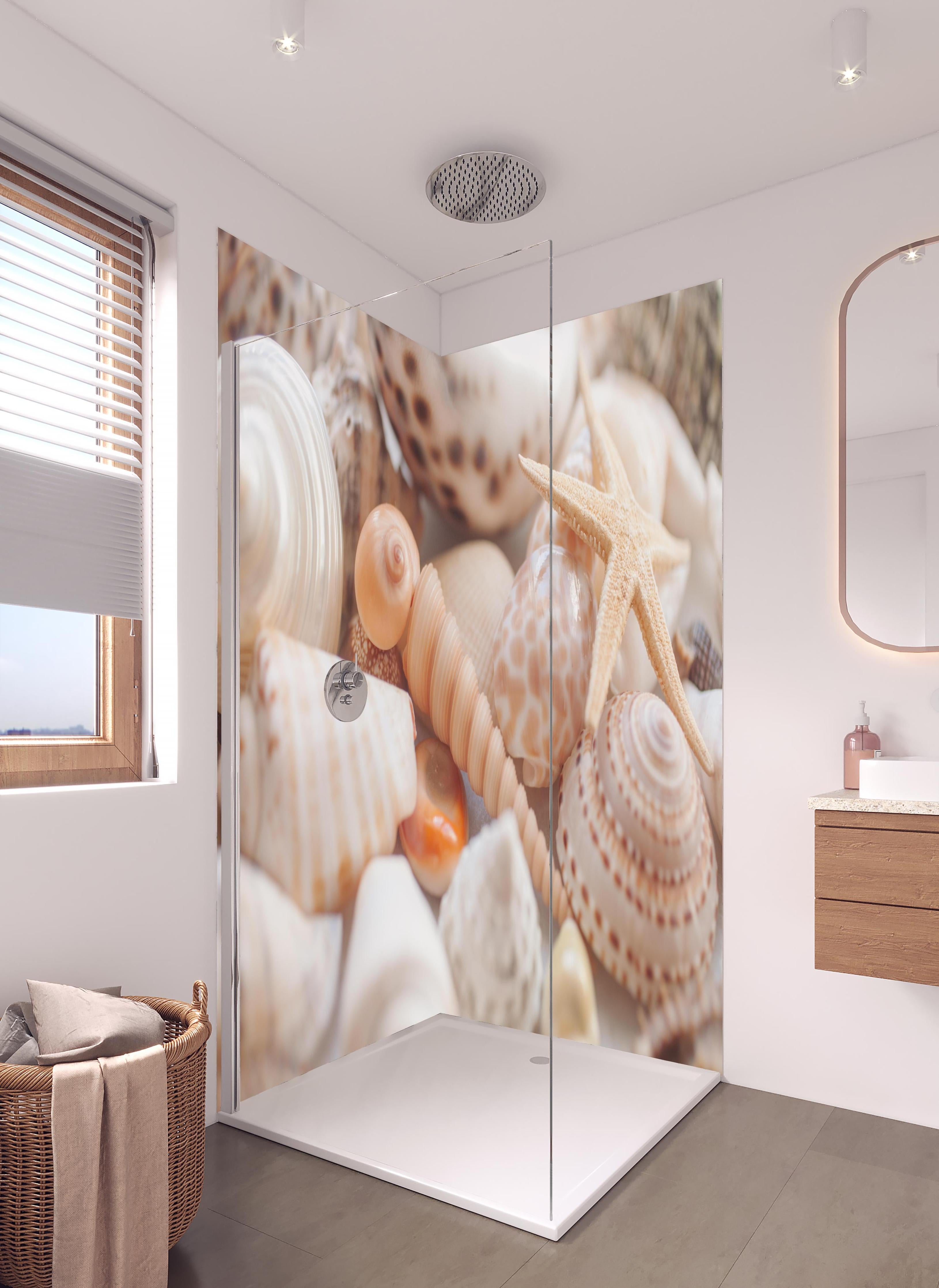 Duschrückwand - Schöne Muschelsammlung in hellem Badezimmer mit Regenduschkopf - zweiteilige Eck-Duschrückwand