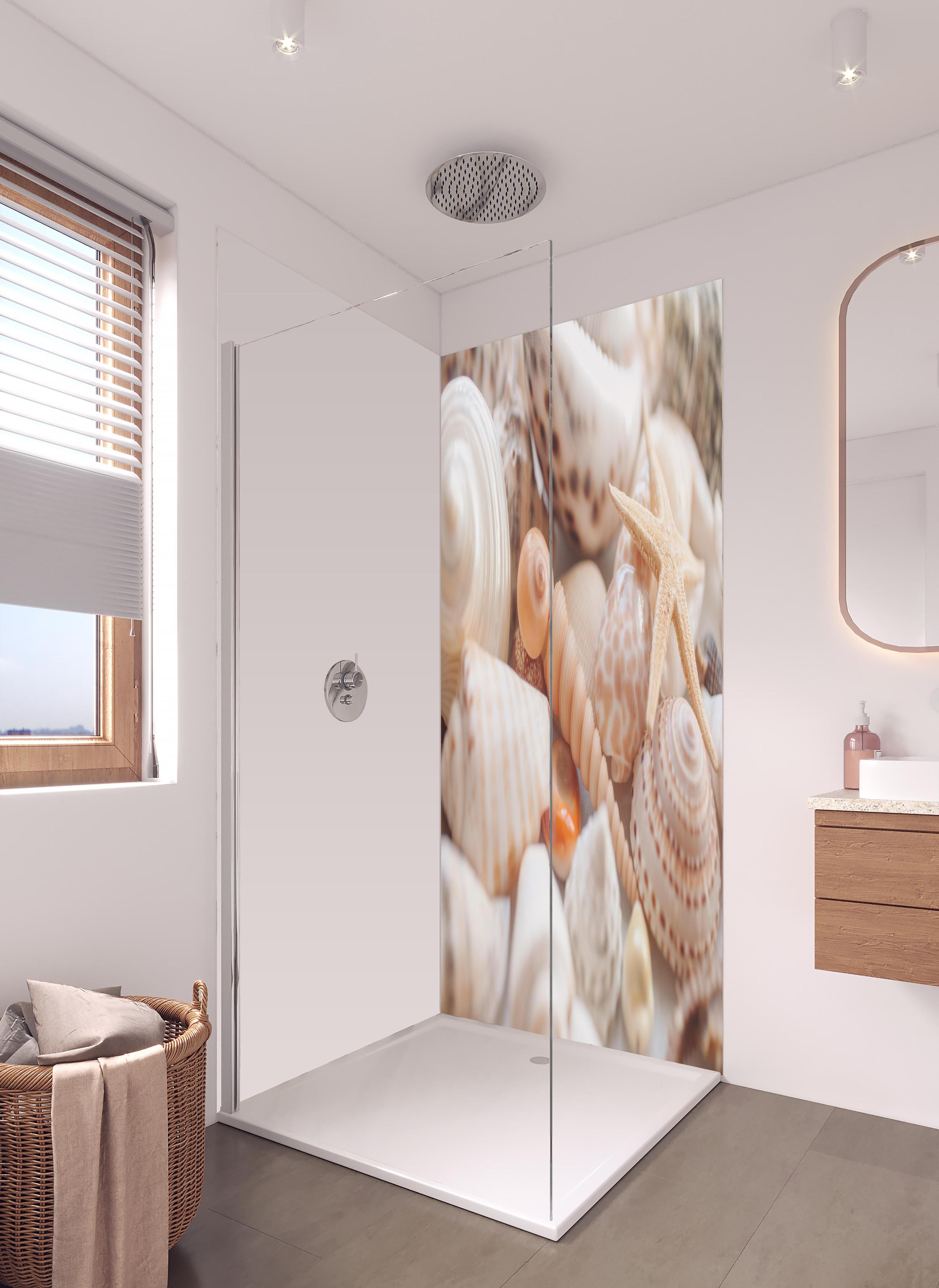 Duschrückwand - Schöne Muschelsammlung in hellem Badezimmer mit Regenduschkopf - zweiteilige Eck-Duschrückwand