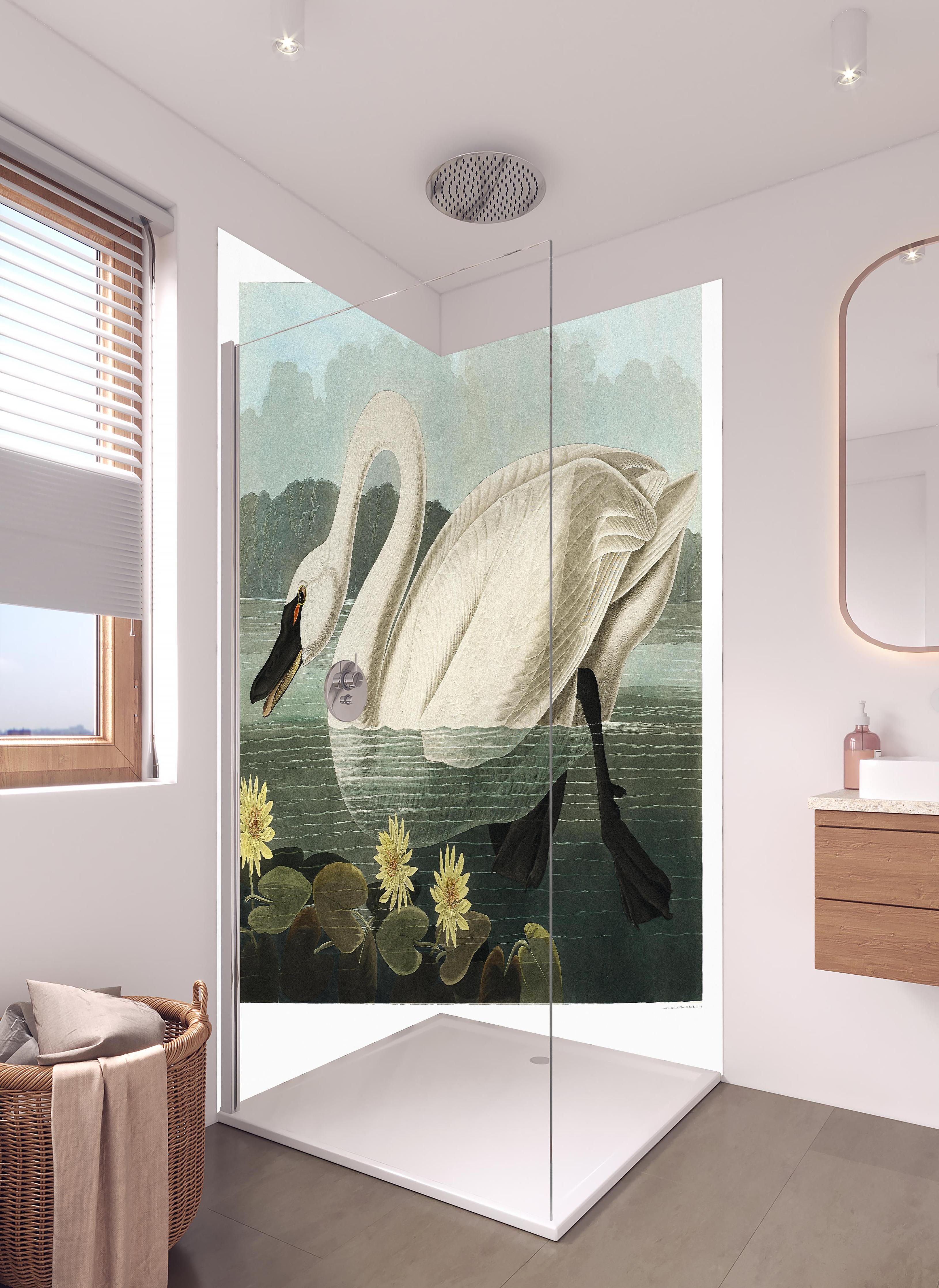 Duschrückwand - Schwan Portait - Robert Havell in hellem Badezimmer mit Regenduschkopf - zweiteilige Eck-Duschrückwand