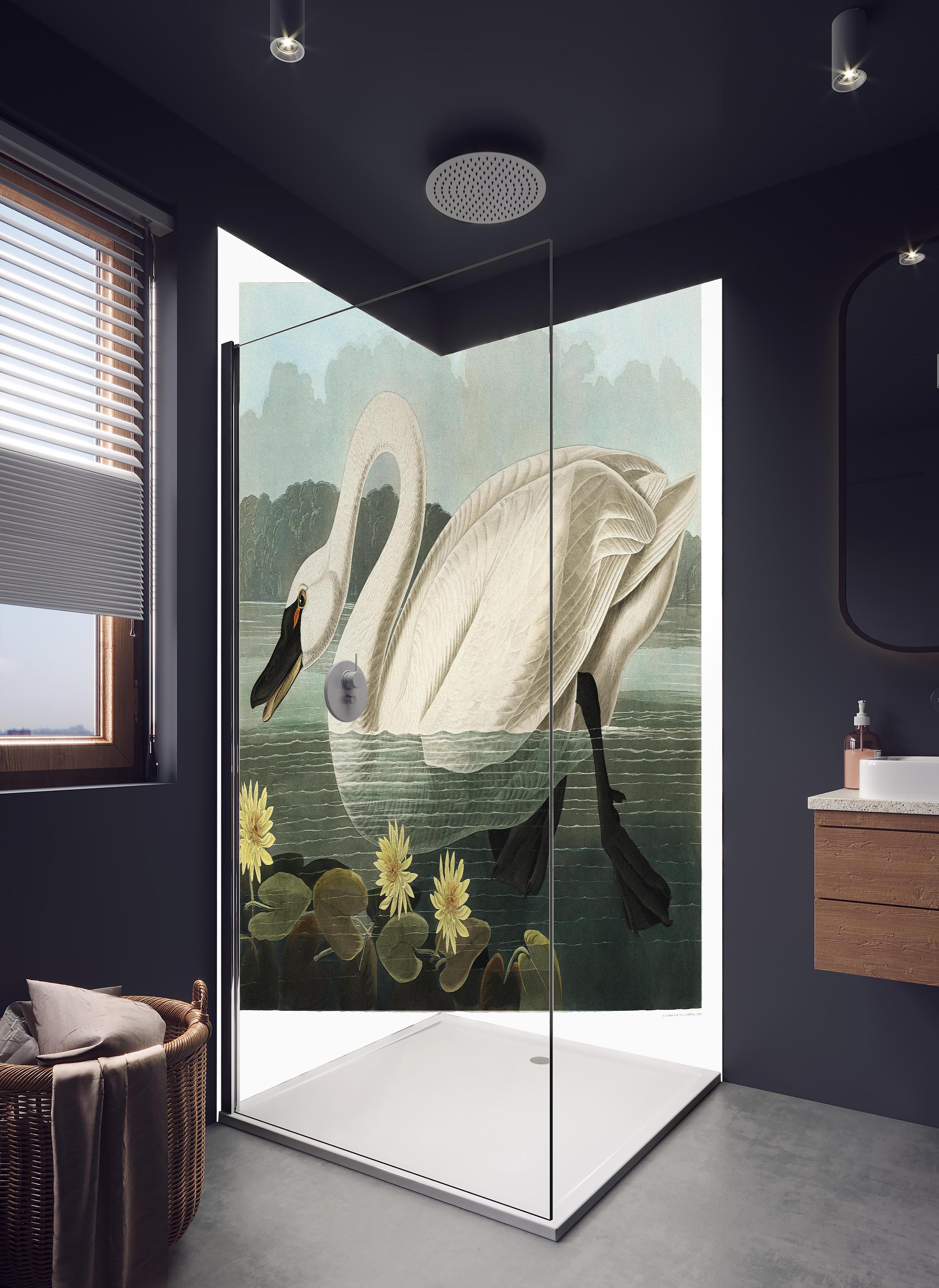 Duschrückwand - Schwan Portait - Robert Havell in hellem Badezimmer mit Regenduschkopf - zweiteilige Eck-Duschrückwand