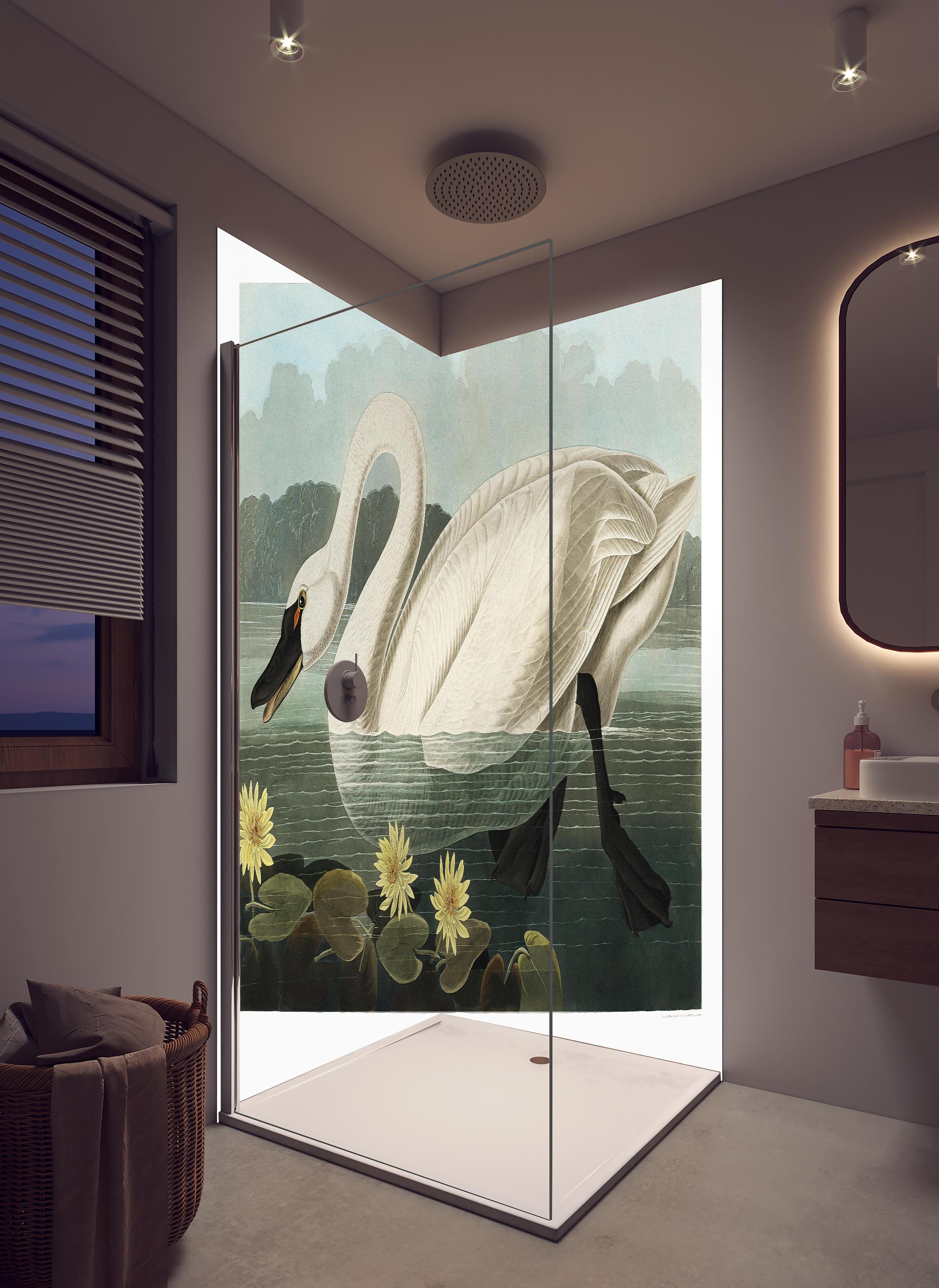 Duschrückwand - Schwan Portait - Robert Havell in hellem Badezimmer mit Regenduschkopf - zweiteilige Eck-Duschrückwand