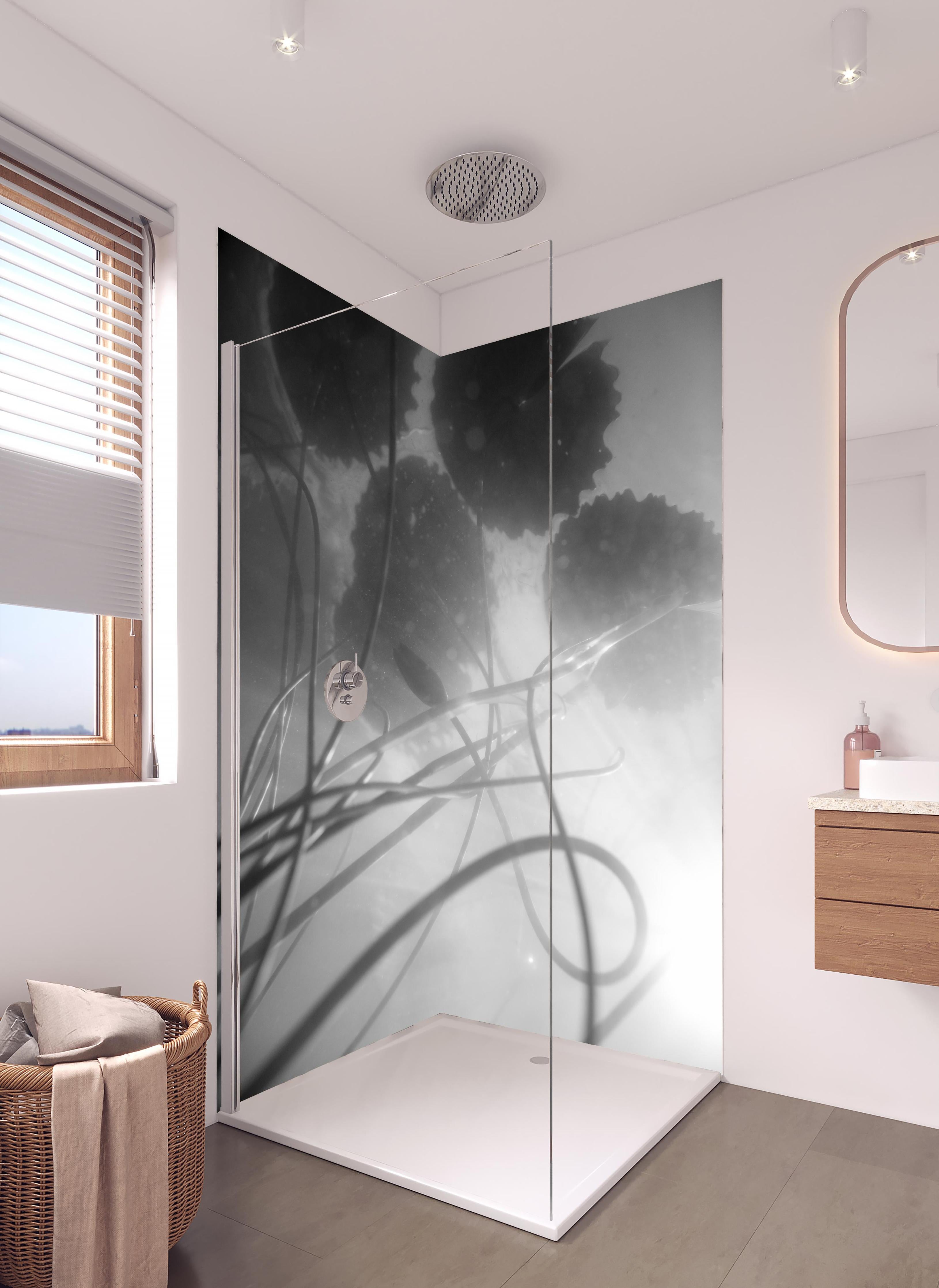 Duschrückwand - Schwarz-weiße Nahaufnahme der Water Lily in hellem Badezimmer mit Regenduschkopf - zweiteilige Eck-Duschrückwand