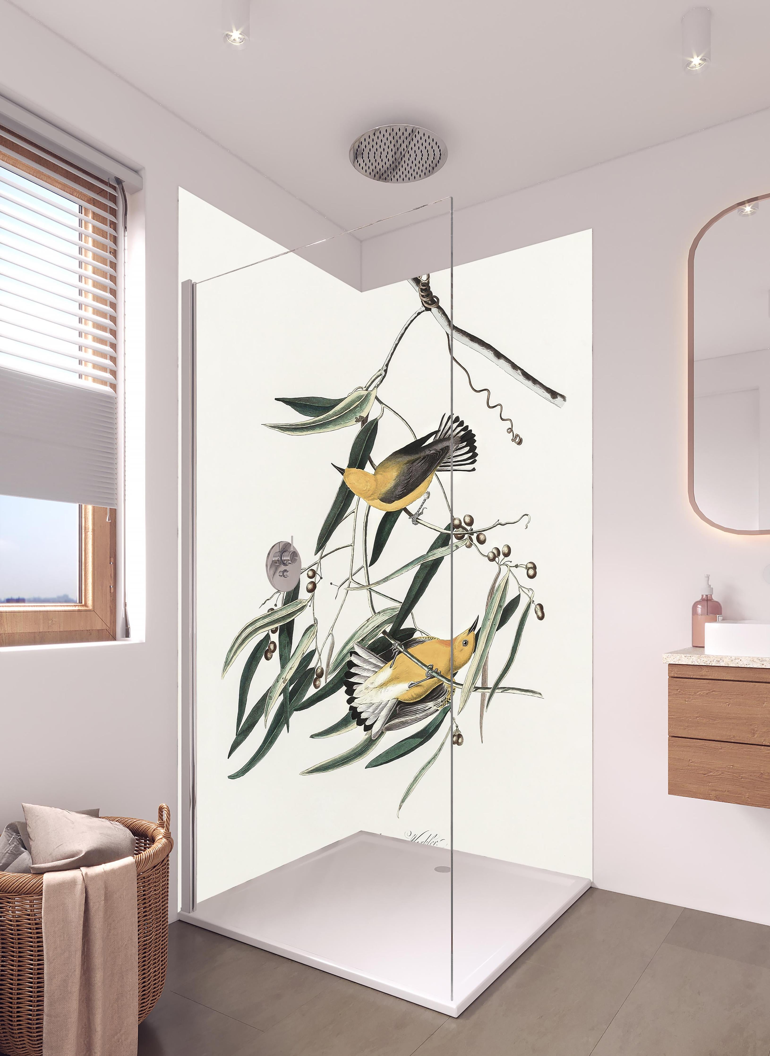 Duschrückwand - Singvogel Portrait - John James Audubon in hellem Badezimmer mit Regenduschkopf - zweiteilige Eck-Duschrückwand