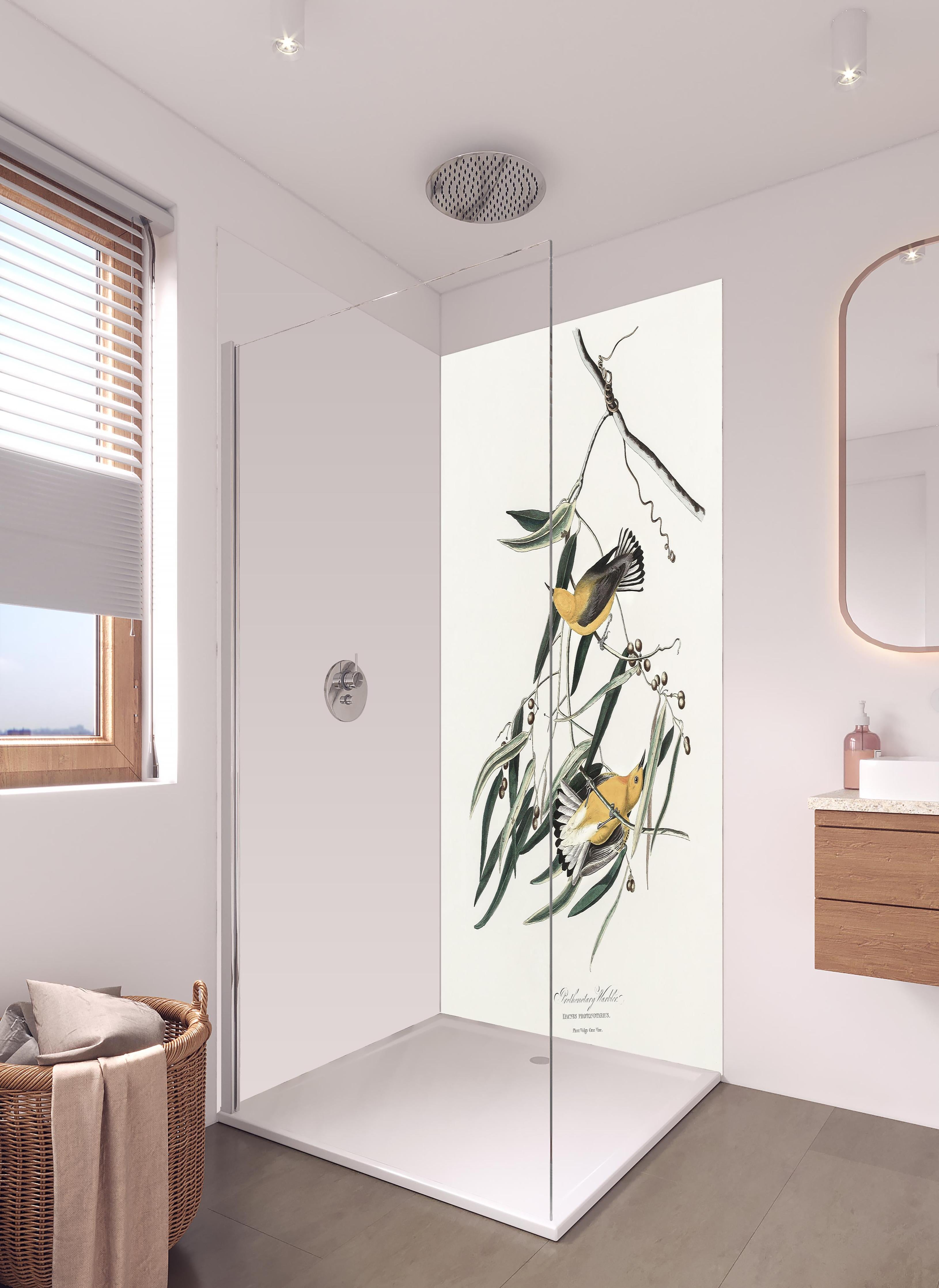 Duschrückwand - Singvogel Portrait - John James Audubon in hellem Badezimmer mit Regenduschkopf - zweiteilige Eck-Duschrückwand