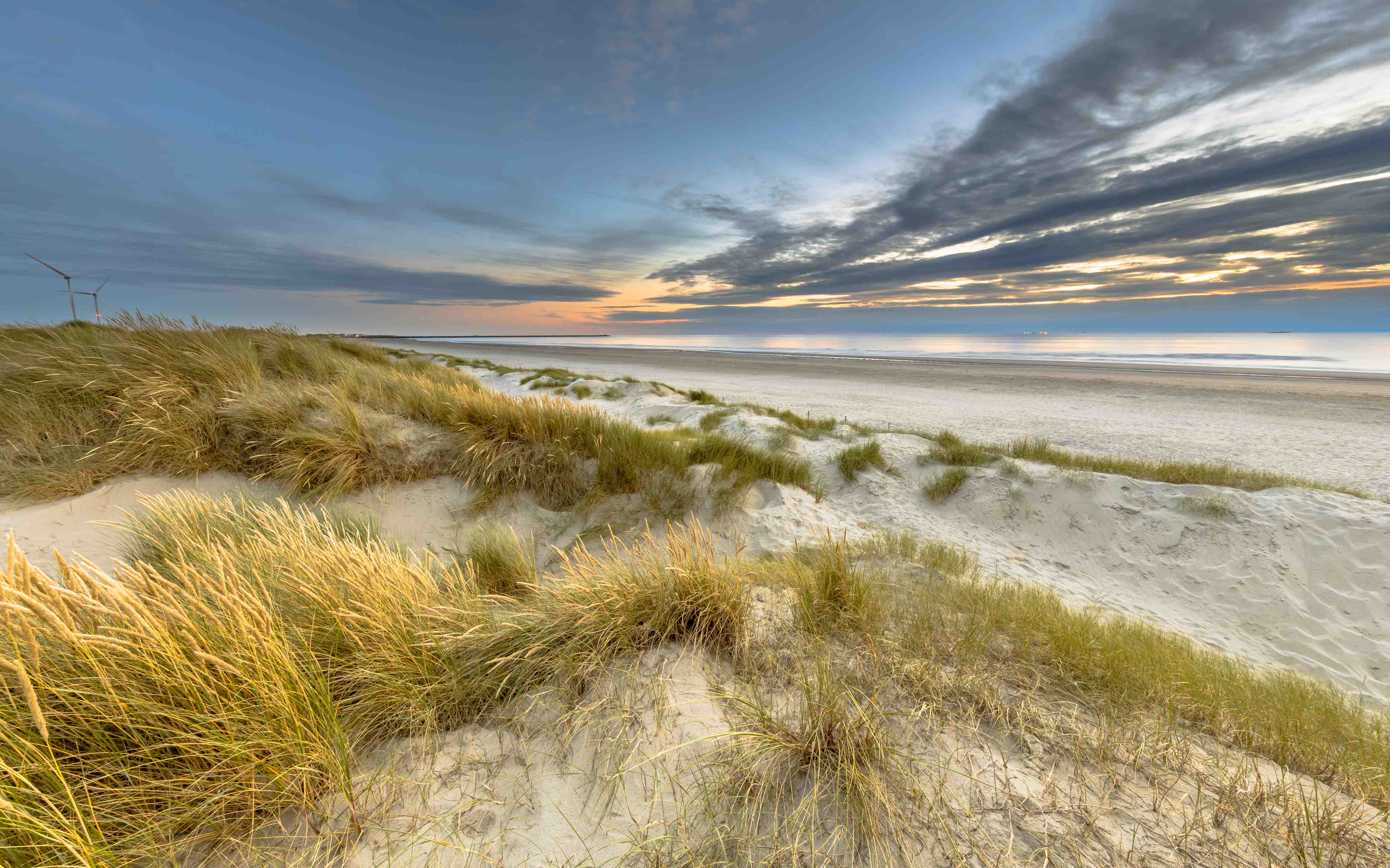 Duschrückwand-Strandlandschaft bei Sonnenuntergang mit Dünen und Himmel