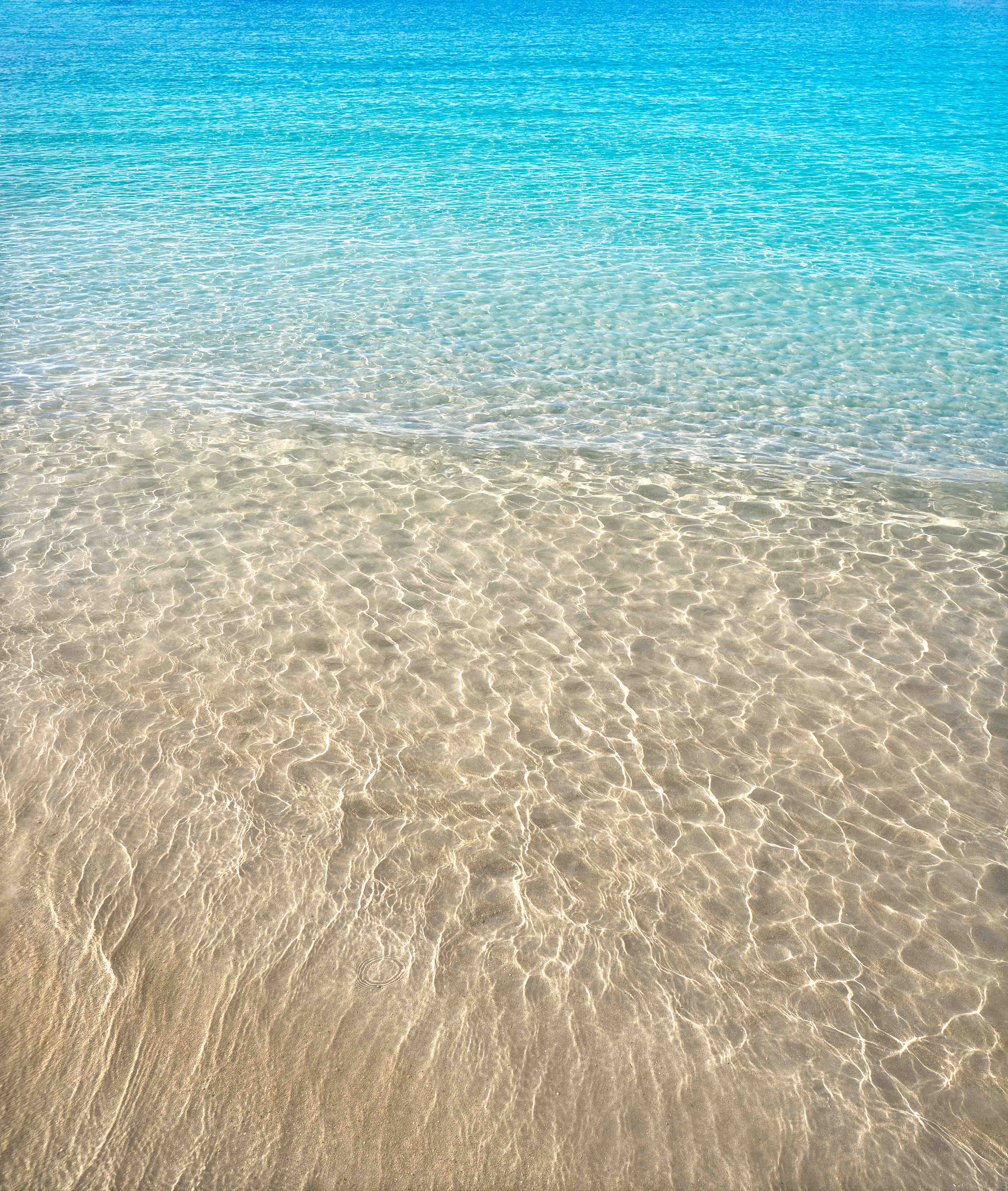 Duschrückwand-Türkisblaues Meereswasser mit Sandstrand