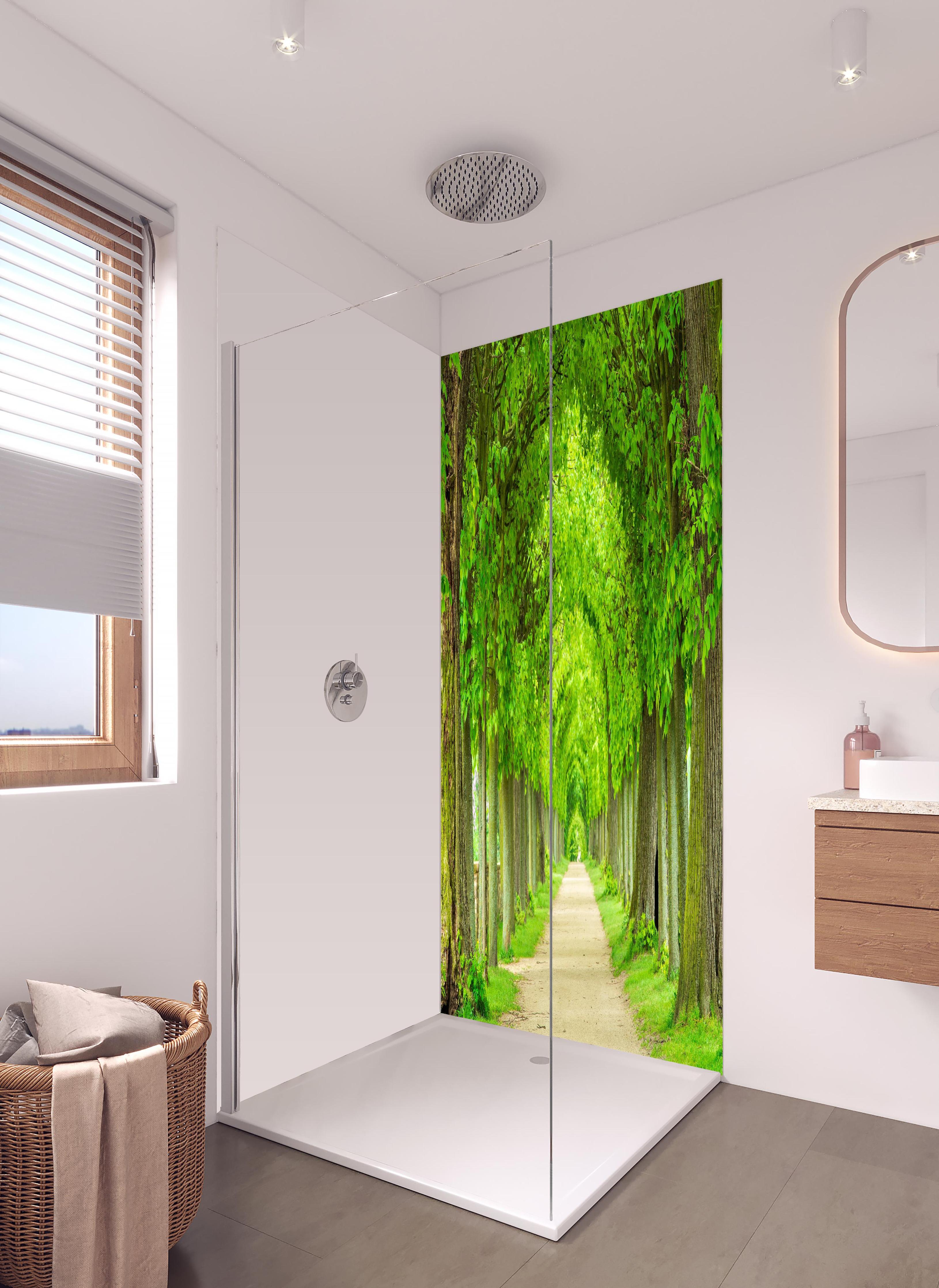 Duschrückwand - Tunnelartige Lindenallee im Frühling in hellem Badezimmer mit Regenduschkopf - zweiteilige Eck-Duschrückwand