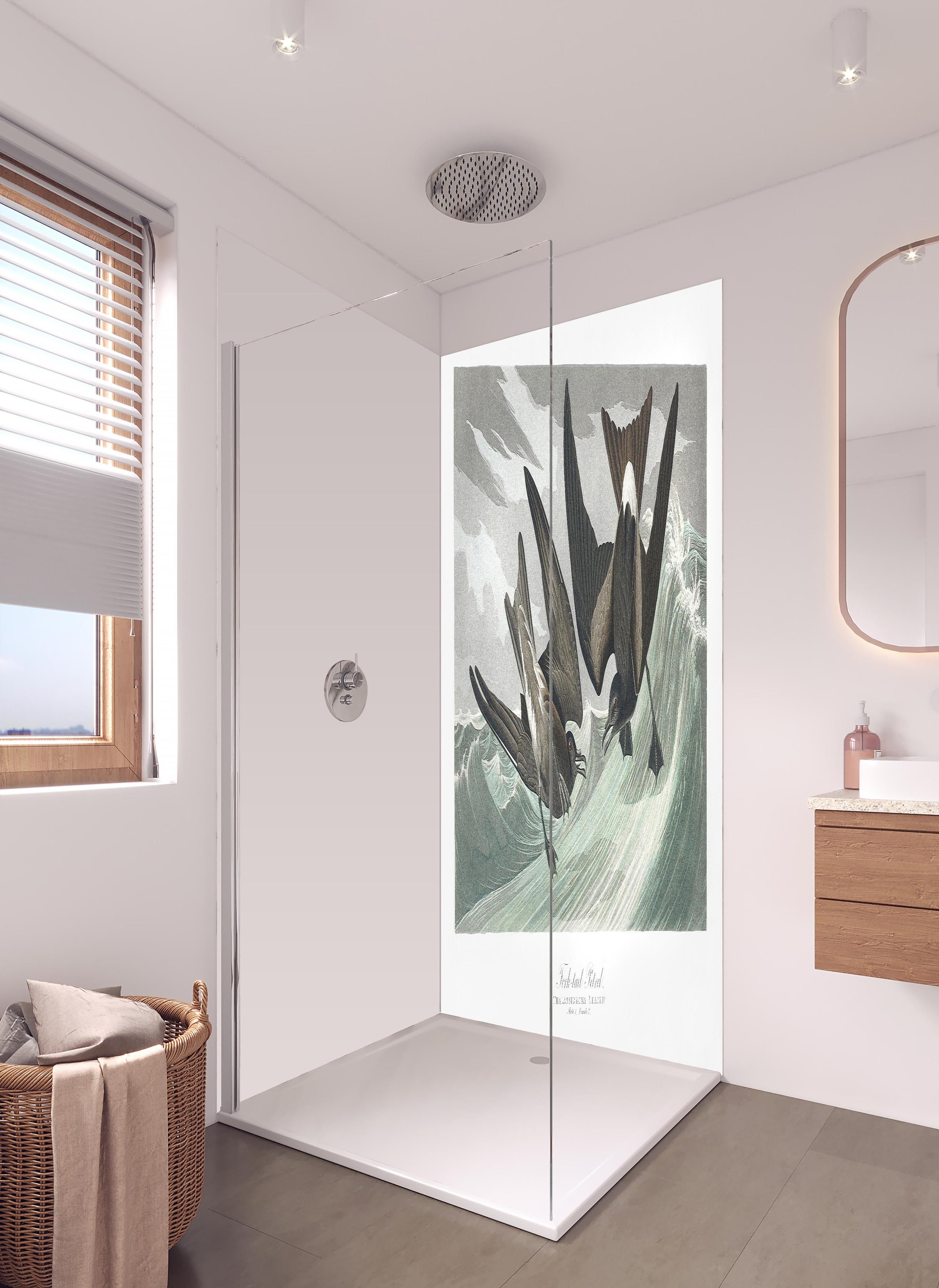 Duschrückwand - Vögel mitten im Meer - Robert Havell in hellem Badezimmer mit Regenduschkopf - zweiteilige Eck-Duschrückwand