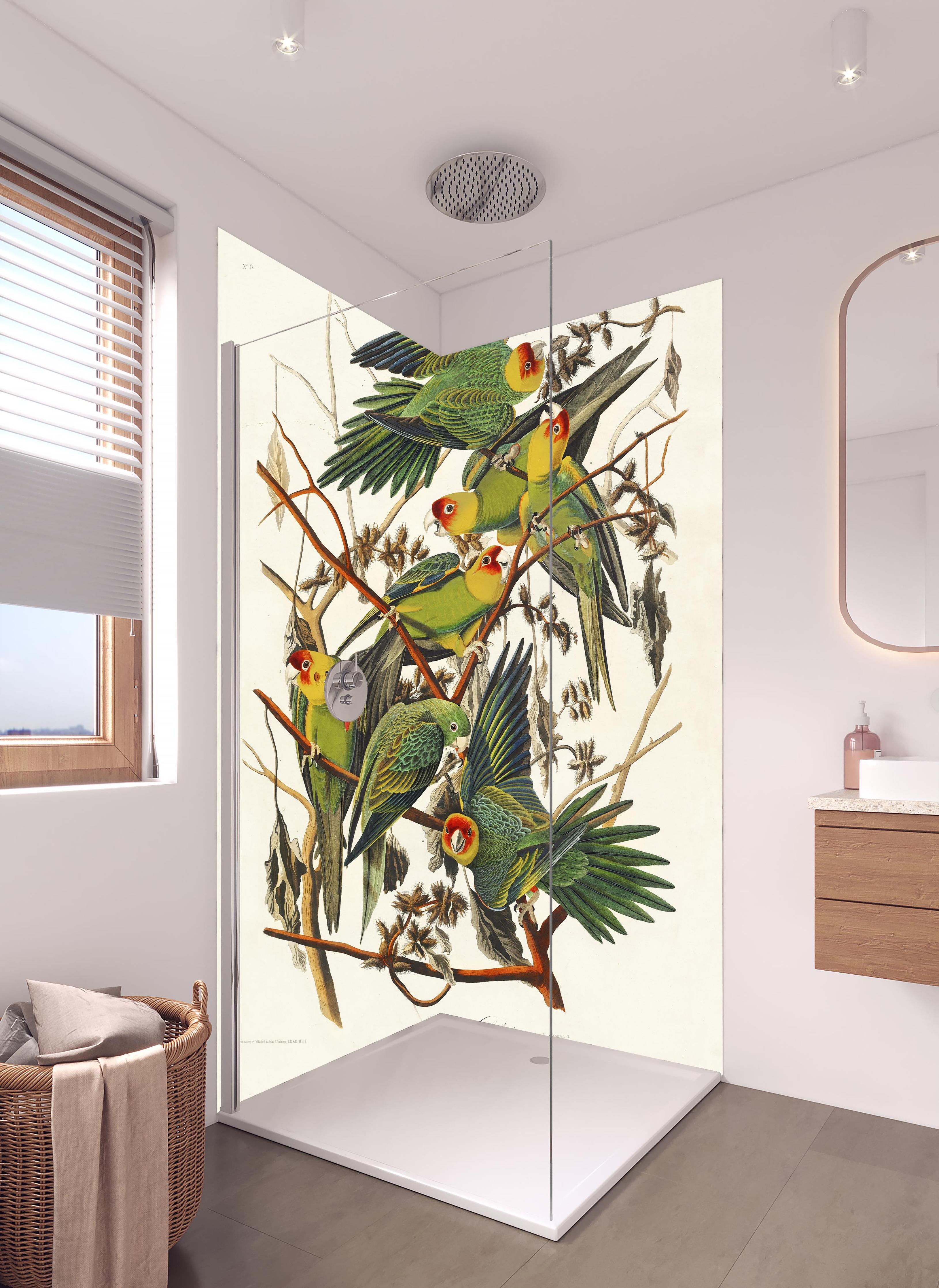 Duschrückwand - Vogel Portait - Robert Havell in hellem Badezimmer mit Regenduschkopf - zweiteilige Eck-Duschrückwand