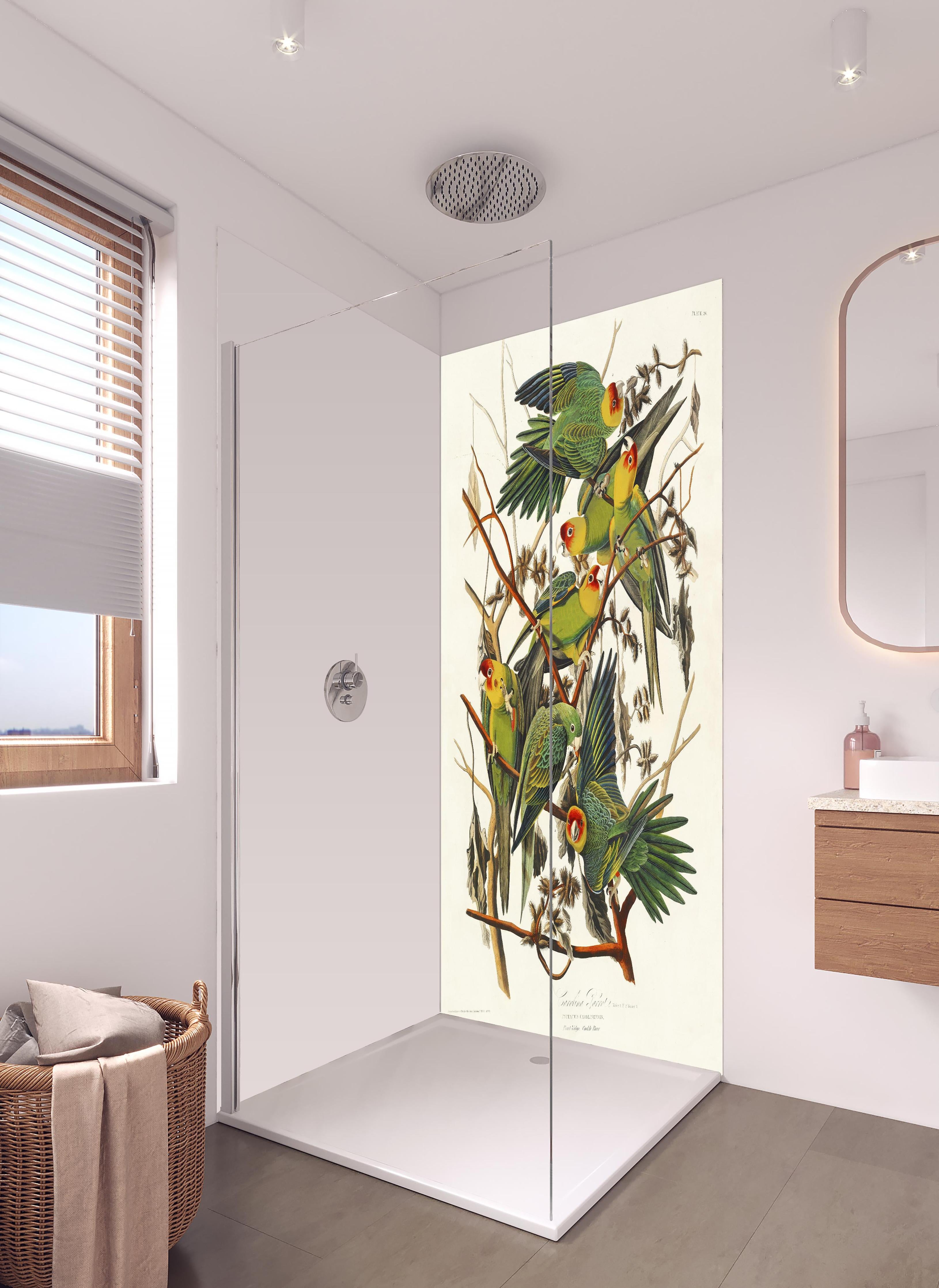 Duschrückwand - Vogel Portait - Robert Havell in hellem Badezimmer mit Regenduschkopf - zweiteilige Eck-Duschrückwand
