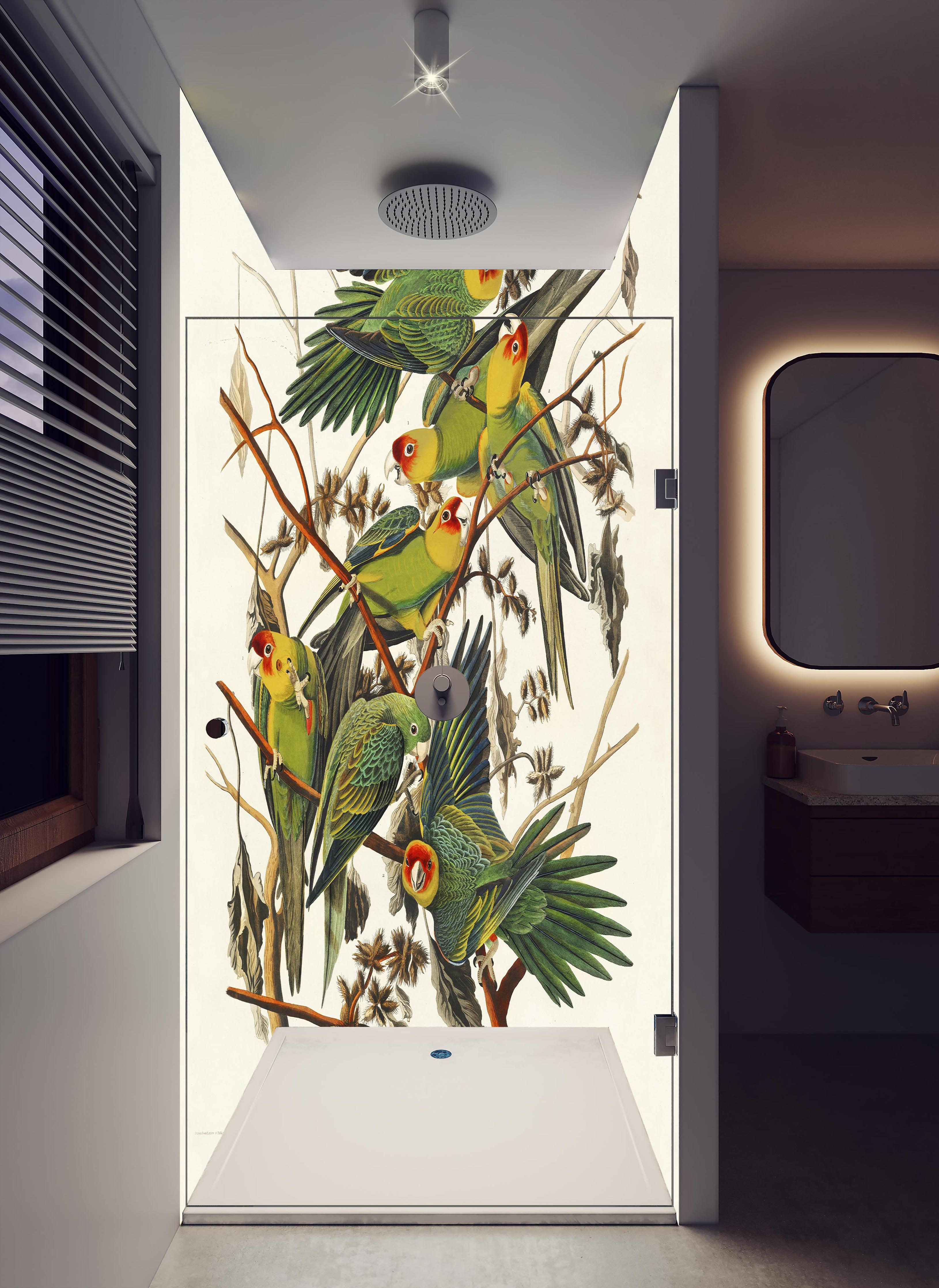 Duschrückwand - Vogel Portait - Robert Havell in hellem Badezimmer mit Regenduschkopf - zweiteilige Eck-Duschrückwand