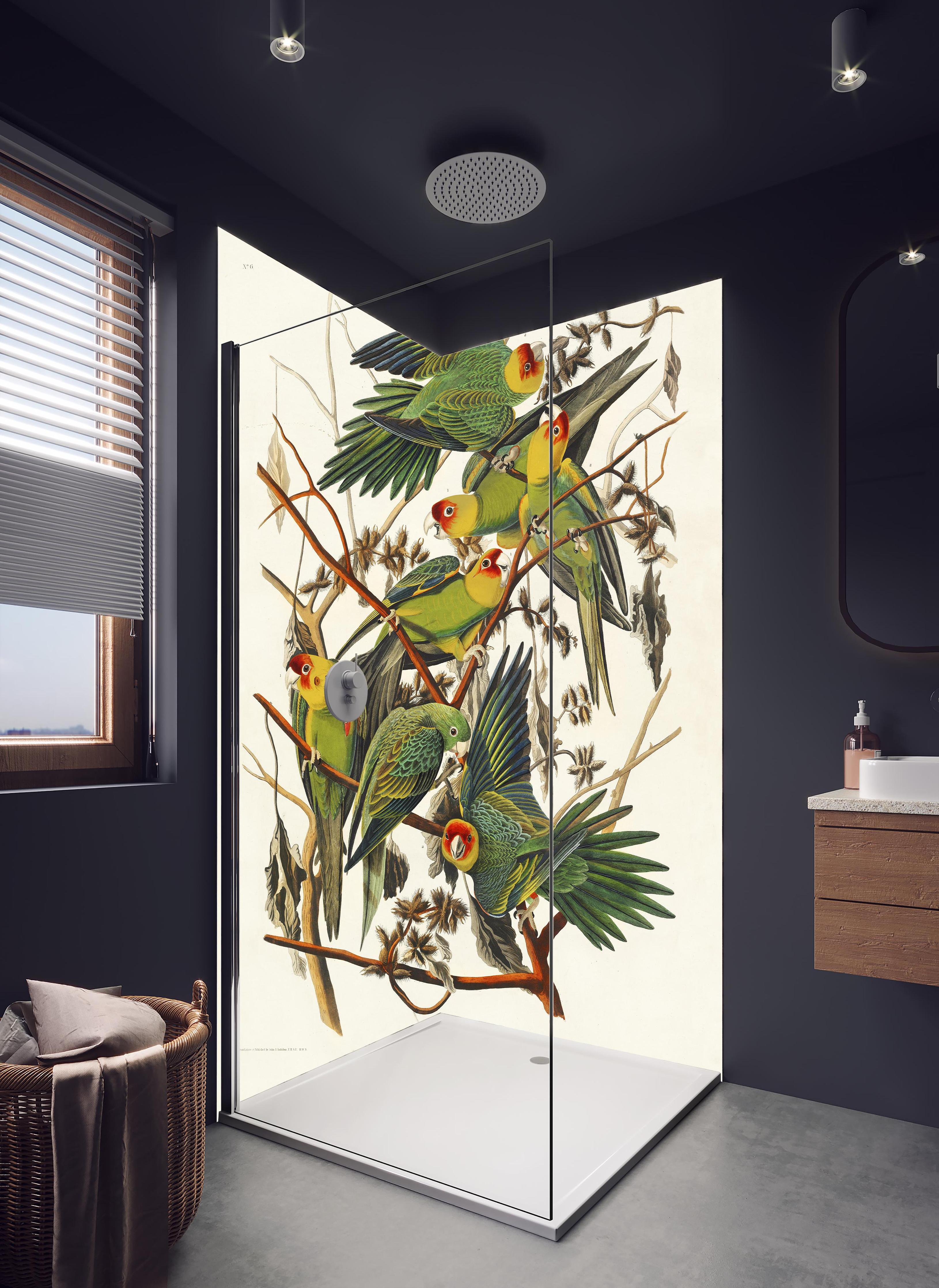 Duschrückwand - Vogel Portait - Robert Havell in hellem Badezimmer mit Regenduschkopf - zweiteilige Eck-Duschrückwand