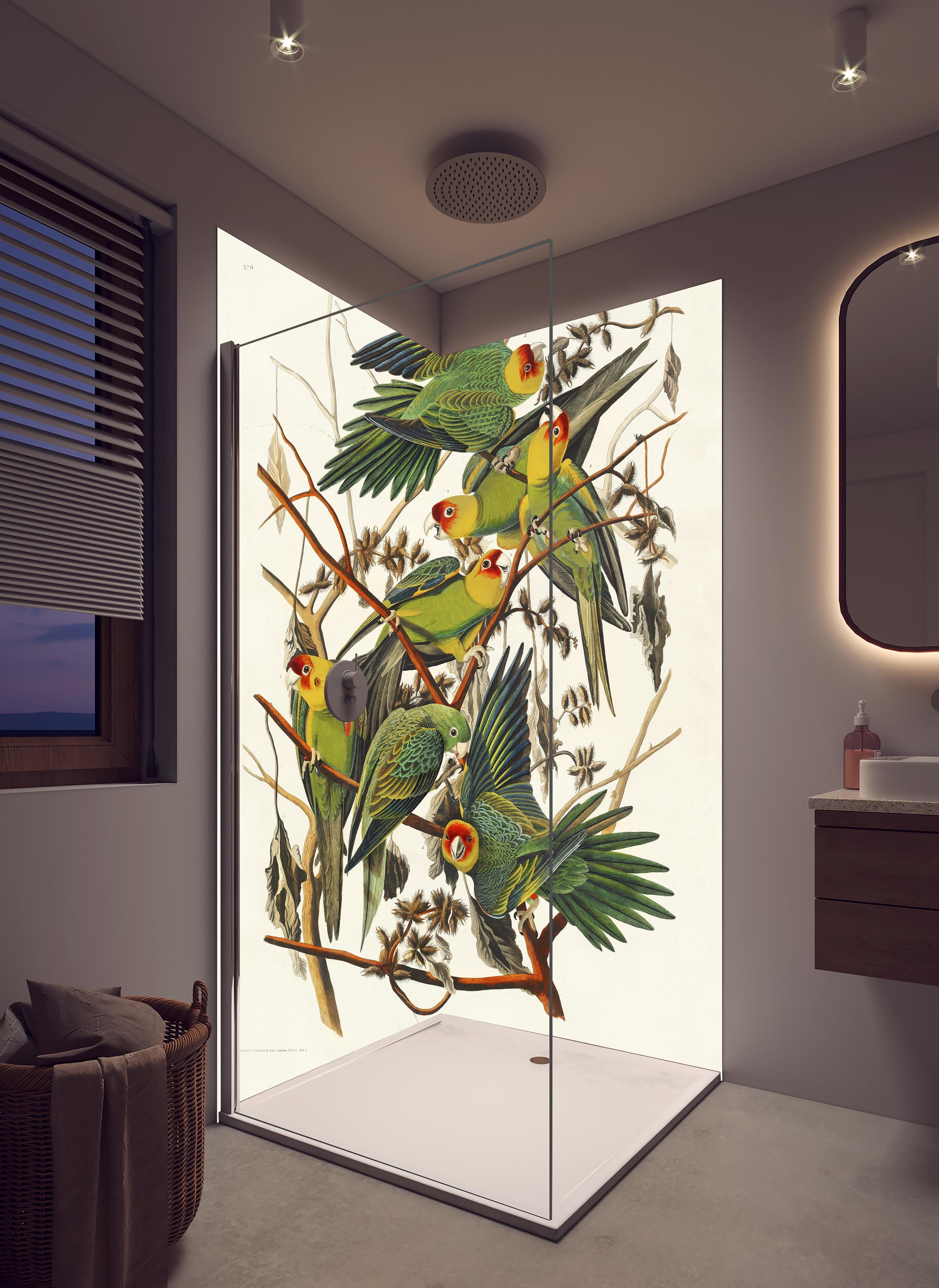 Duschrückwand - Vogel Portait - Robert Havell in hellem Badezimmer mit Regenduschkopf - zweiteilige Eck-Duschrückwand