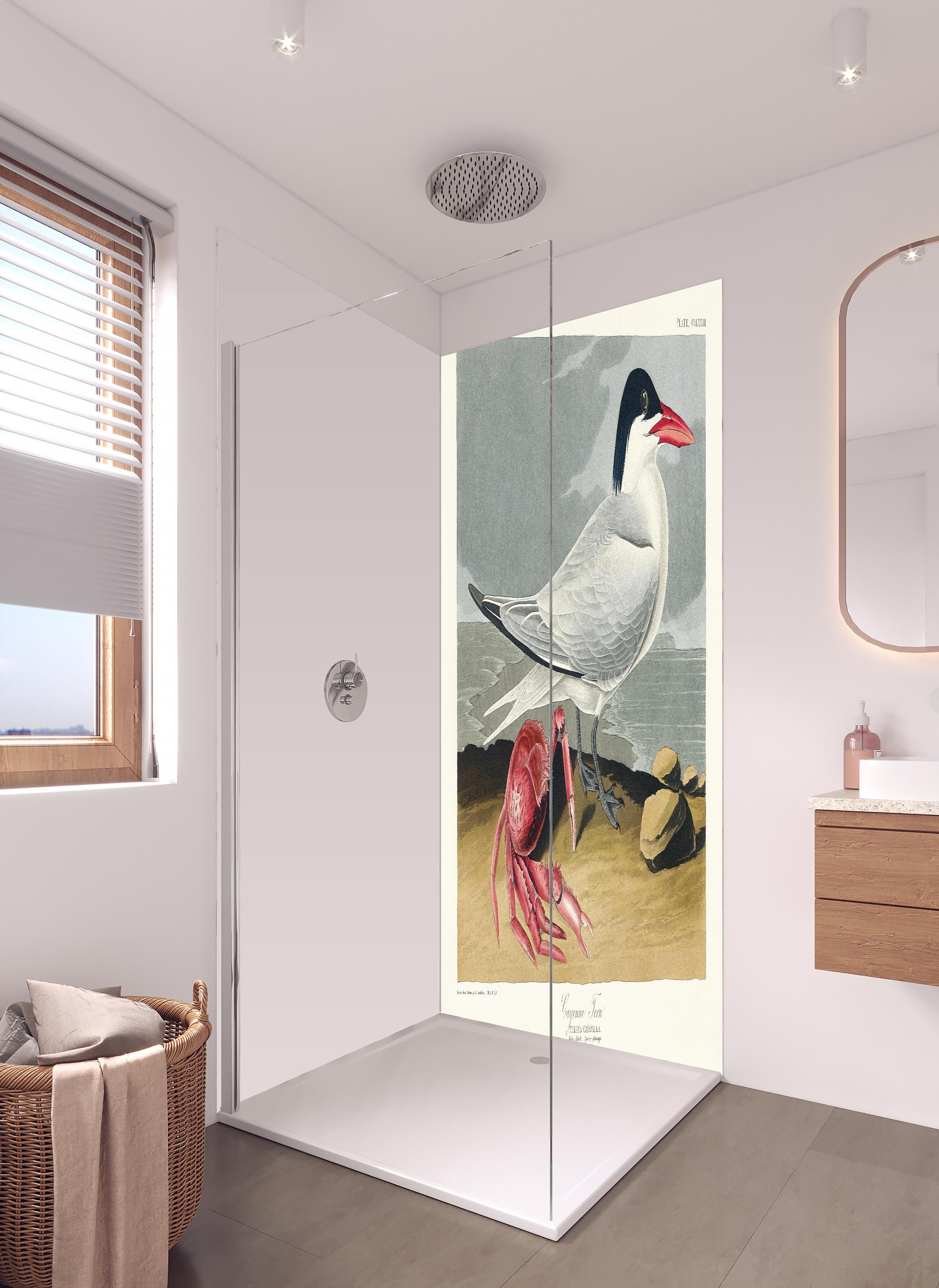 Duschrückwand - Vogel Portrait - Robert Havell in hellem Badezimmer mit Regenduschkopf - zweiteilige Eck-Duschrückwand