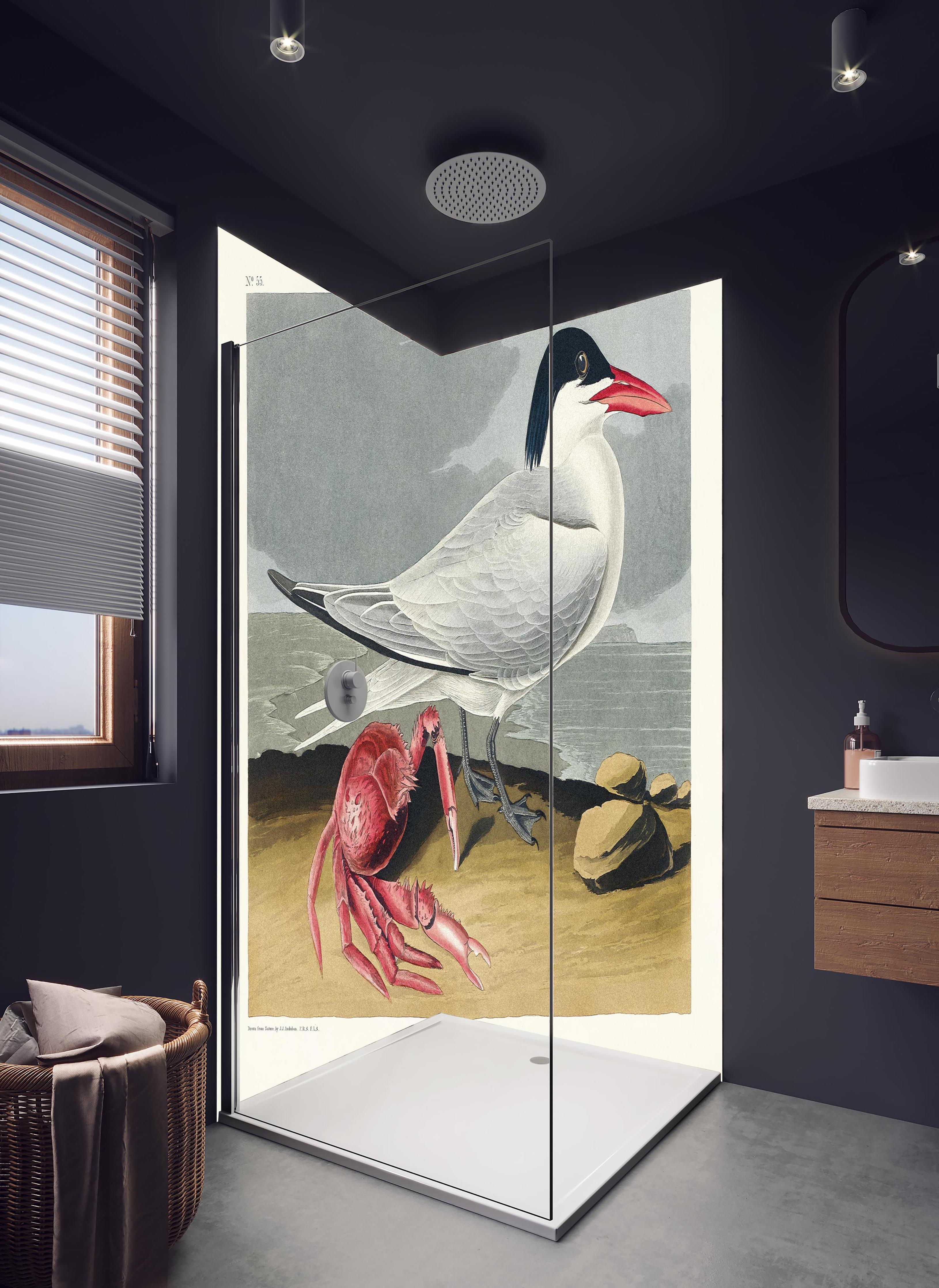 Duschrückwand - Vogel Portrait - Robert Havell in hellem Badezimmer mit Regenduschkopf - zweiteilige Eck-Duschrückwand