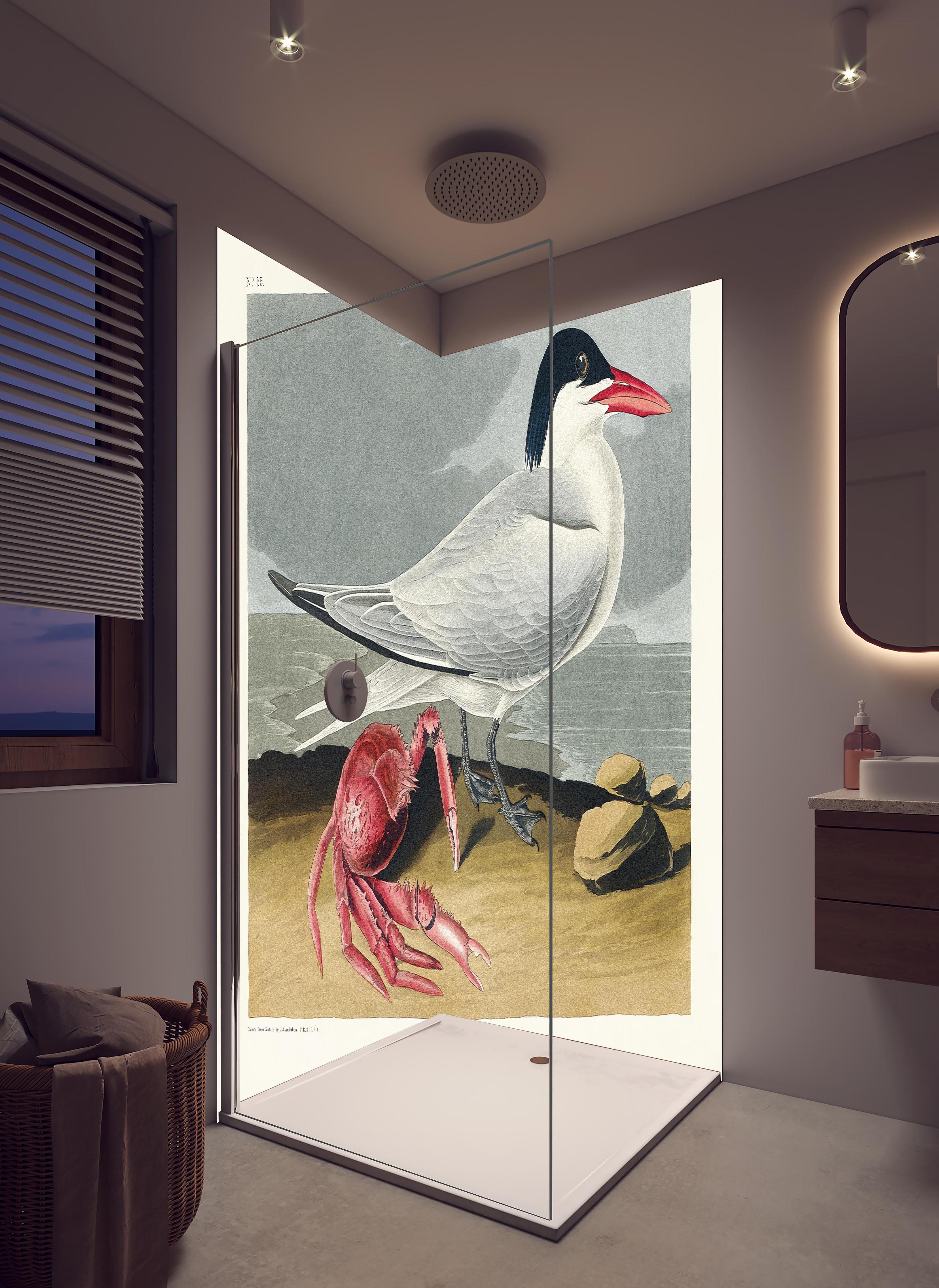 Duschrückwand - Vogel Portrait - Robert Havell in hellem Badezimmer mit Regenduschkopf - zweiteilige Eck-Duschrückwand
