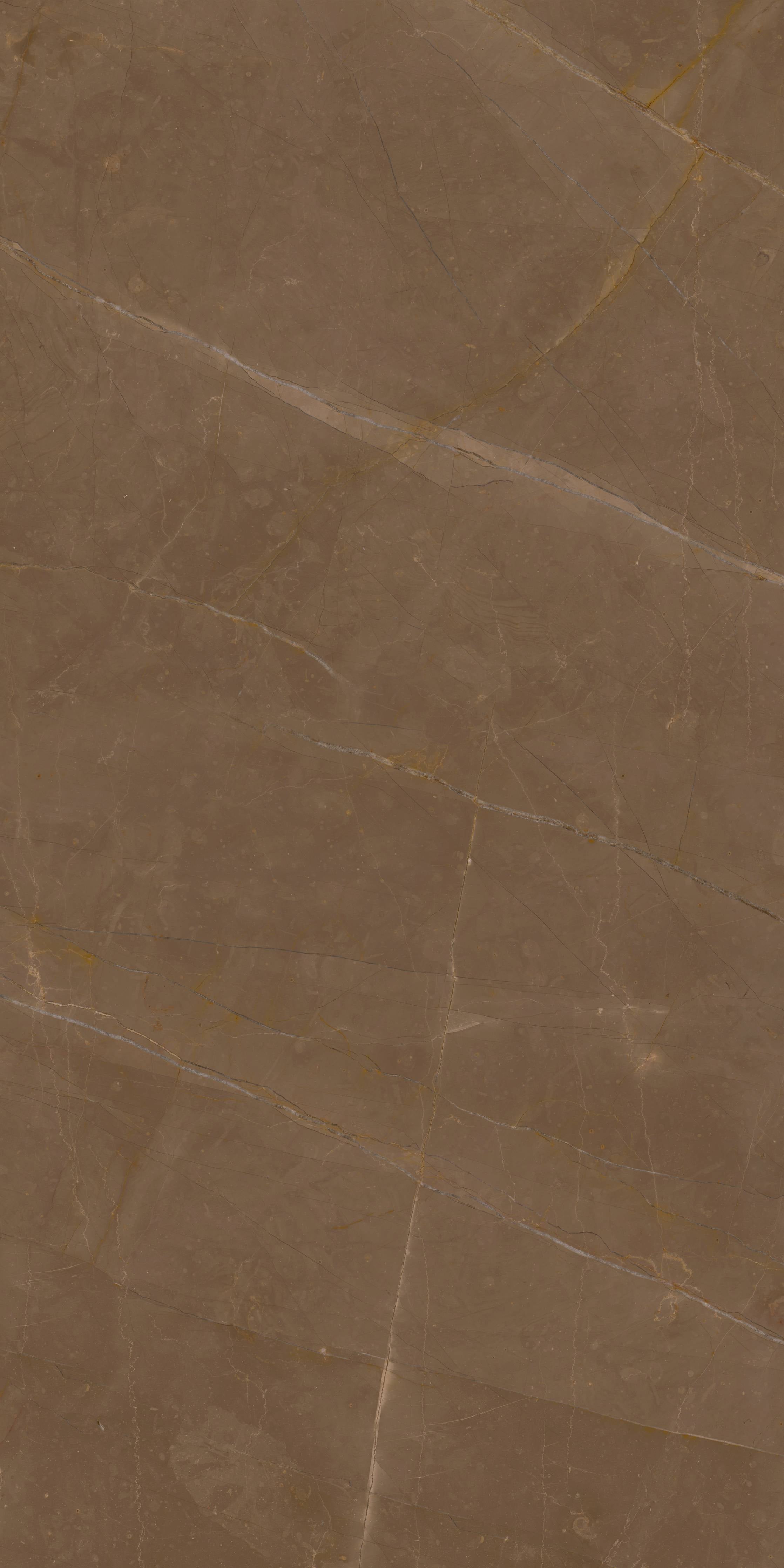 Duschrückwand-Warme Braun-Töne mit natürlicher Maserung