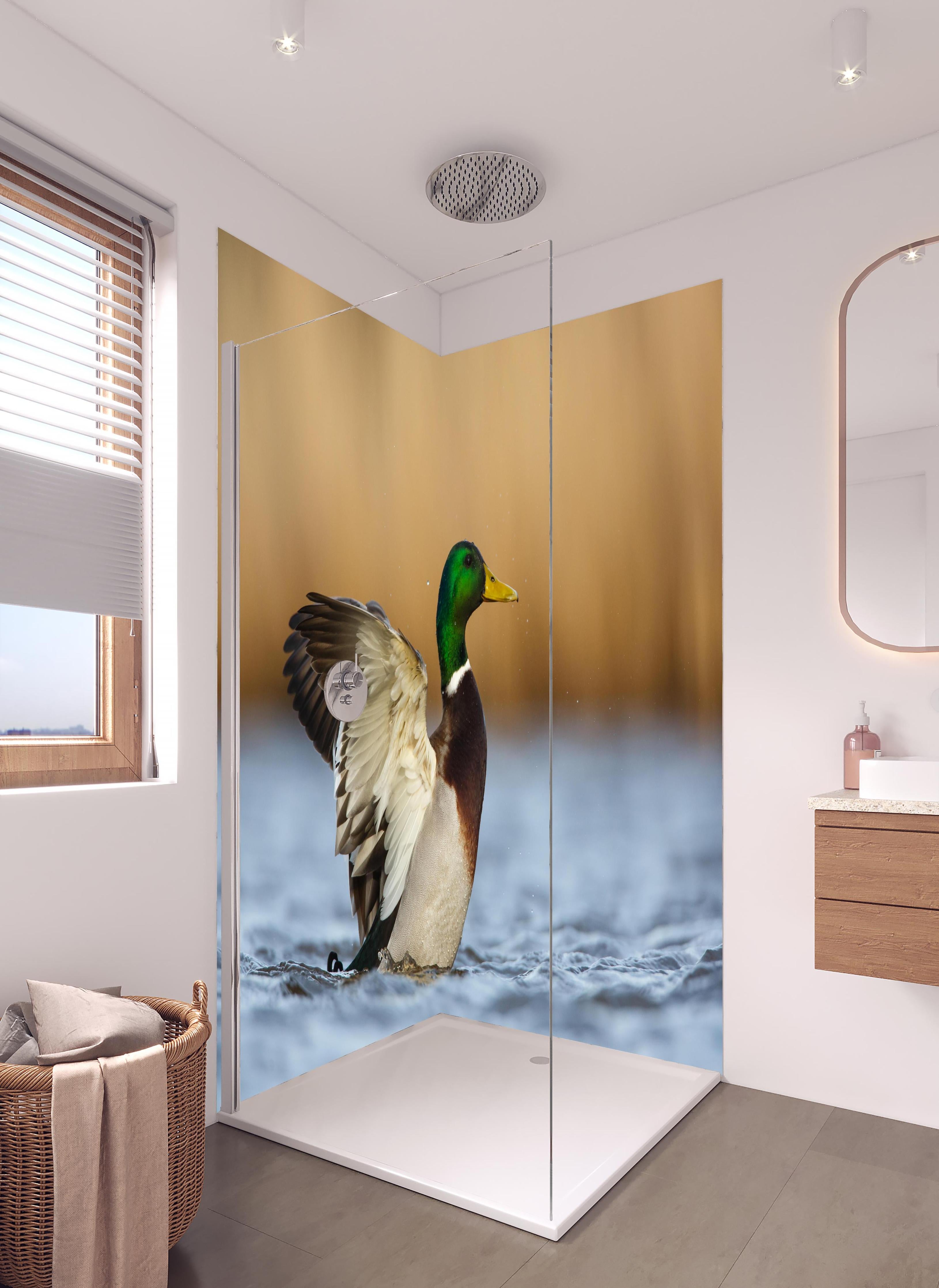 Duschrückwand - Wildente auf dem Wasser in hellem Badezimmer mit Regenduschkopf - zweiteilige Eck-Duschrückwand