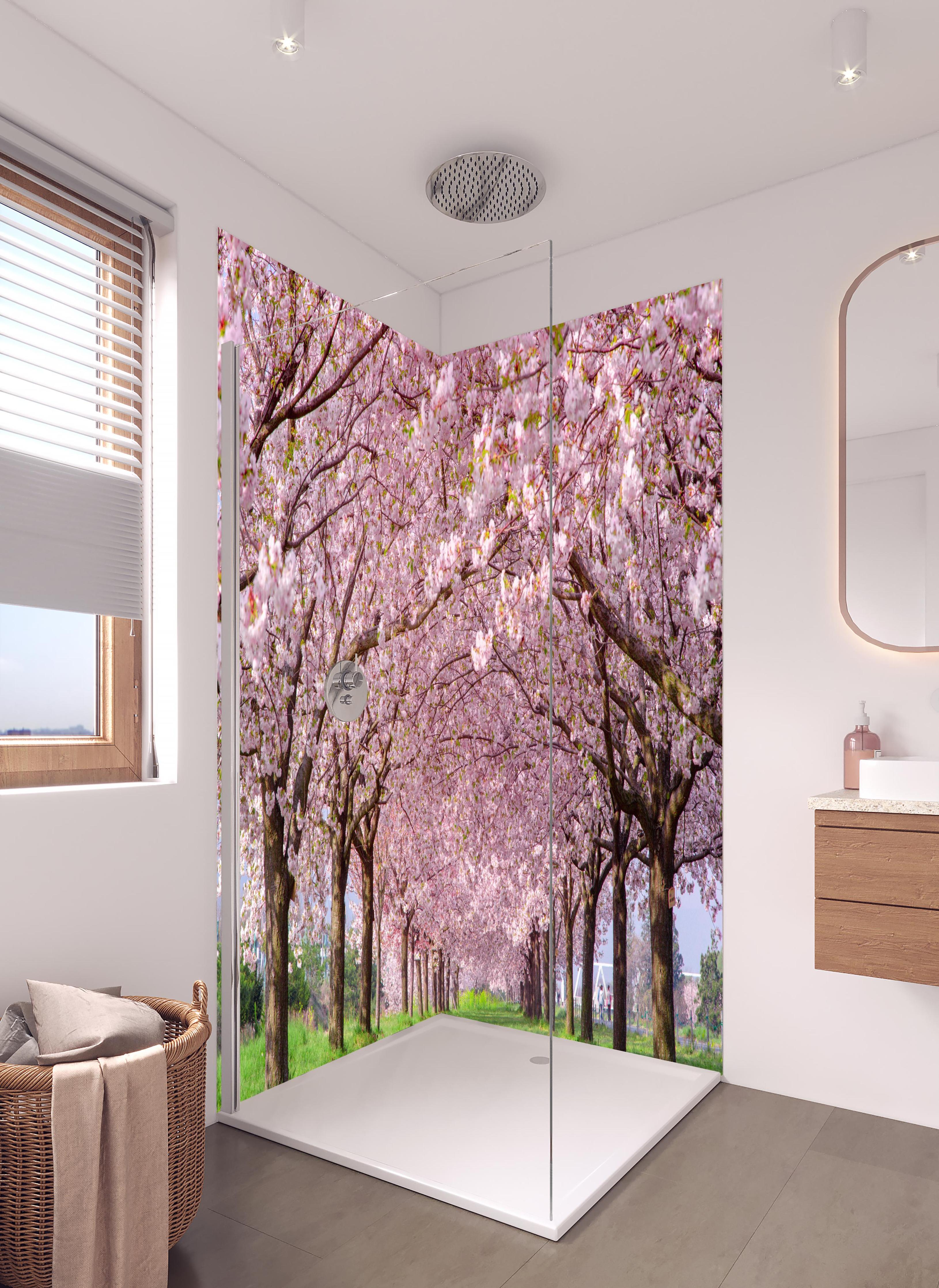 Duschrückwand - Wunderschöne Kirschbaumallee in hellem Badezimmer mit Regenduschkopf - zweiteilige Eck-Duschrückwand