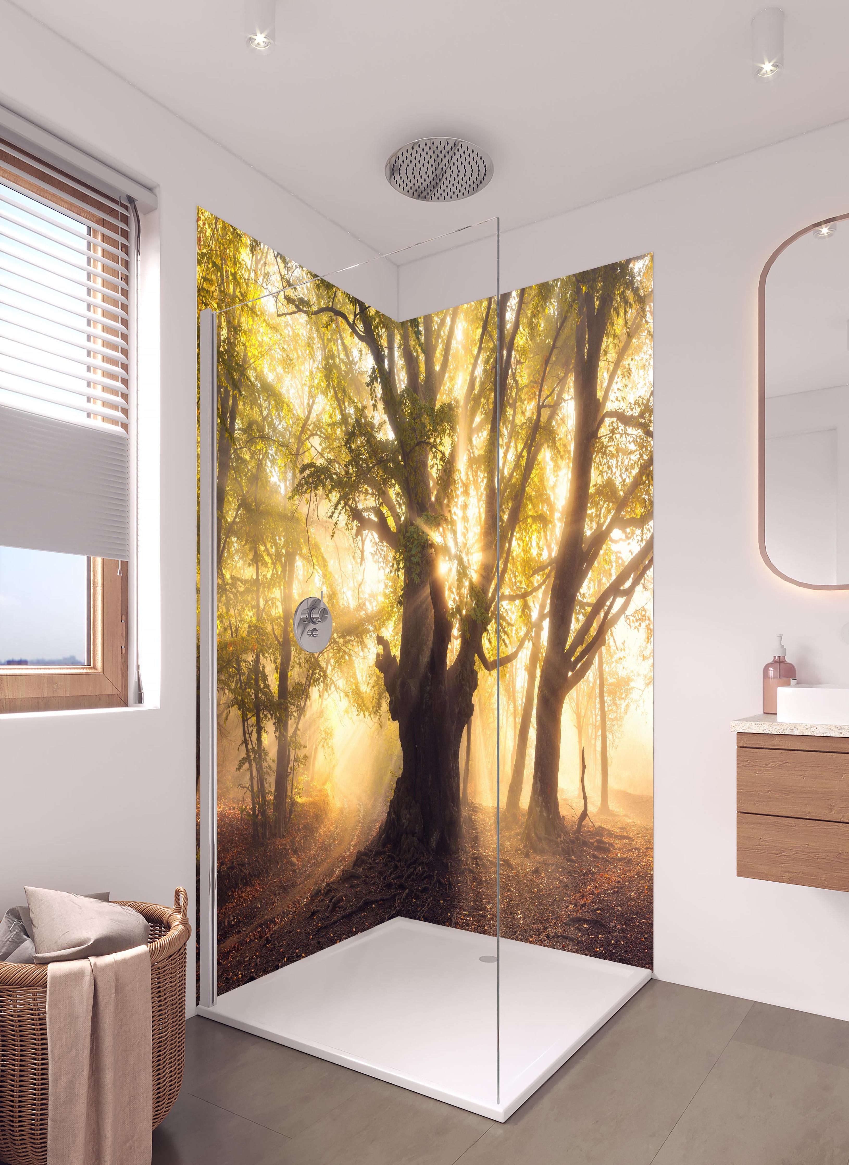 Duschrückwand - alter Baum bei Sonnenaufgang im Nebel in hellem Badezimmer mit Regenduschkopf - zweiteilige Eck-Duschrückwand