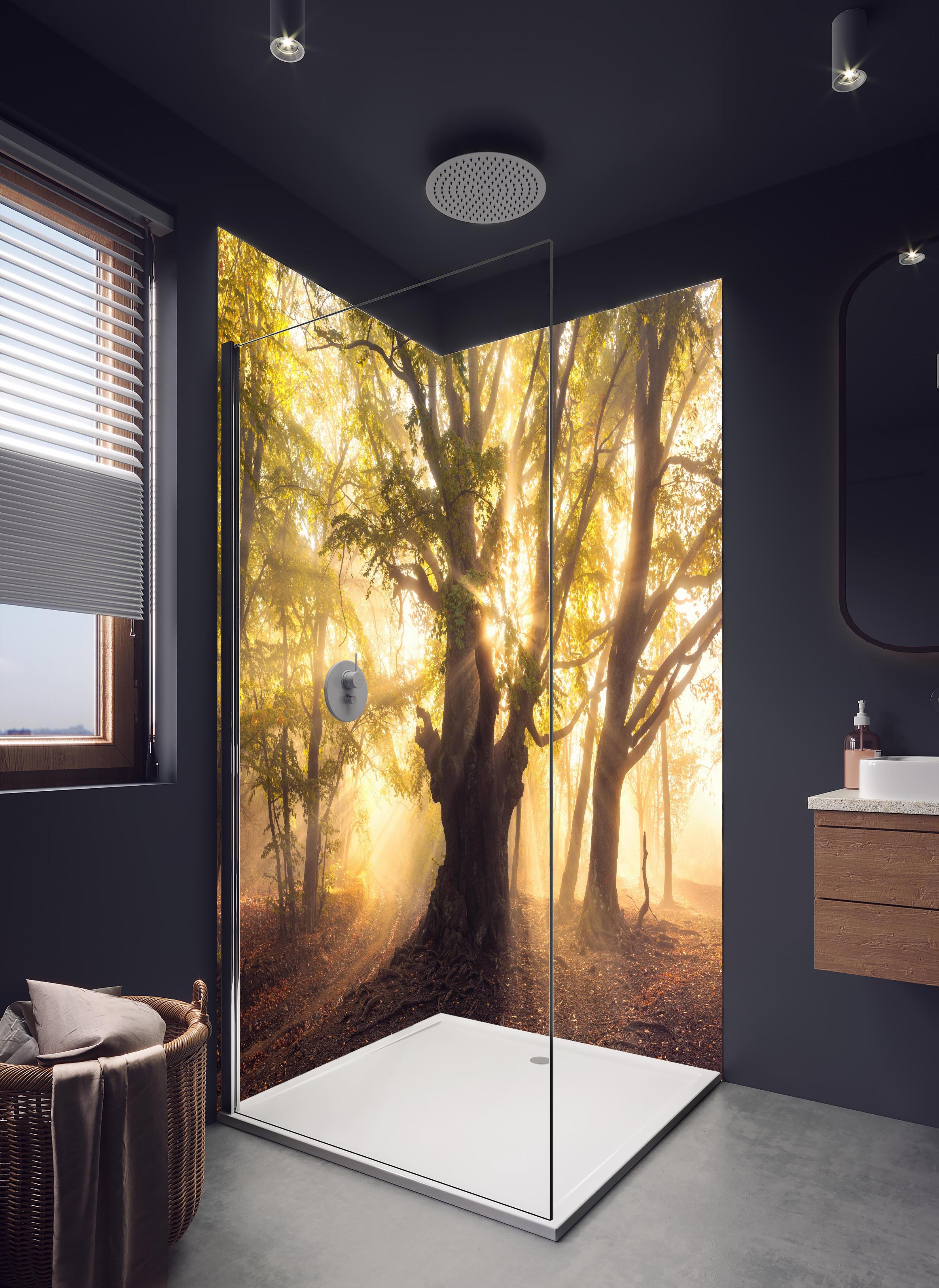 Duschrückwand - alter Baum bei Sonnenaufgang im Nebel in hellem Badezimmer mit Regenduschkopf - zweiteilige Eck-Duschrückwand