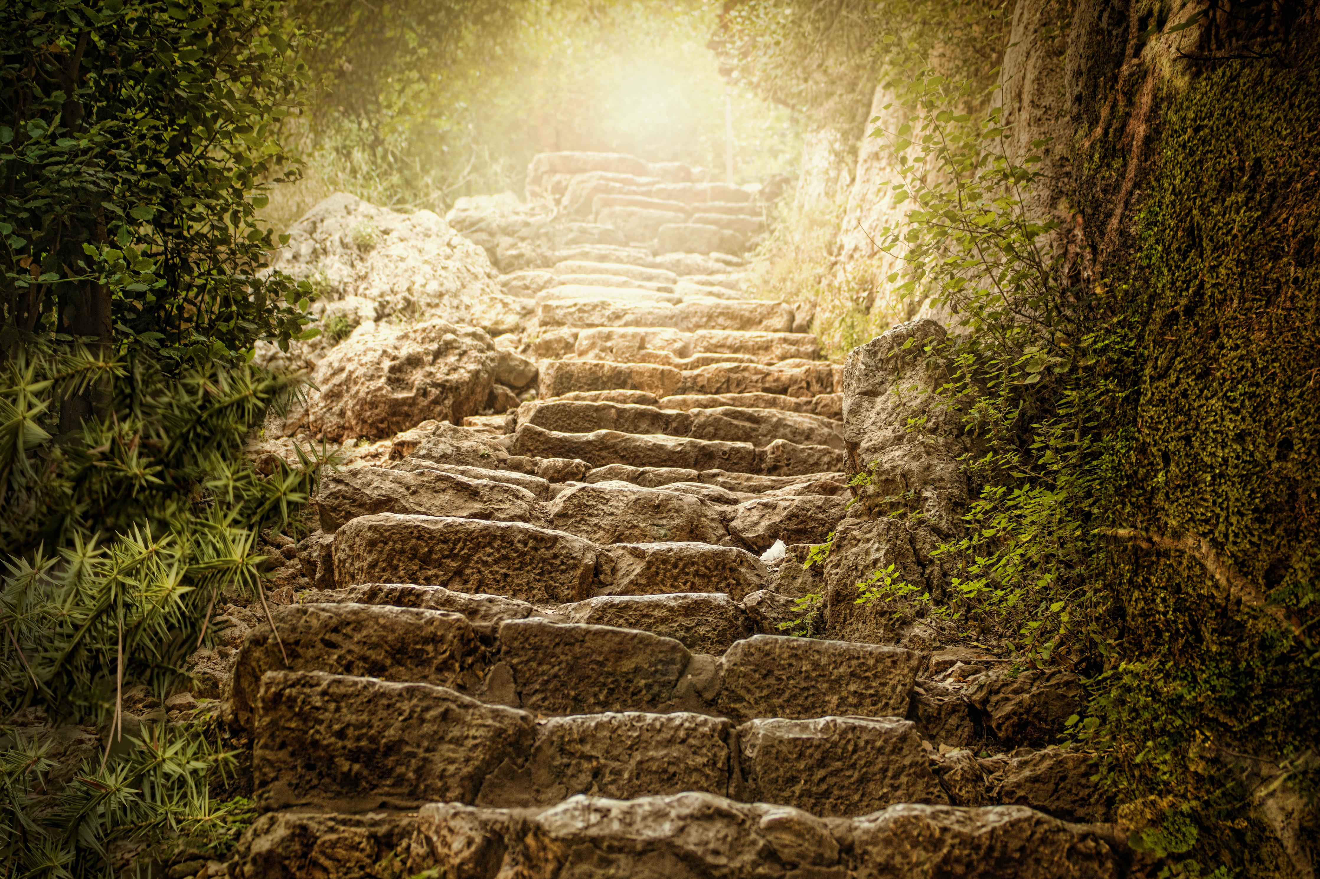 Duschrückwand-bewachsene Steintreppen in der Natur