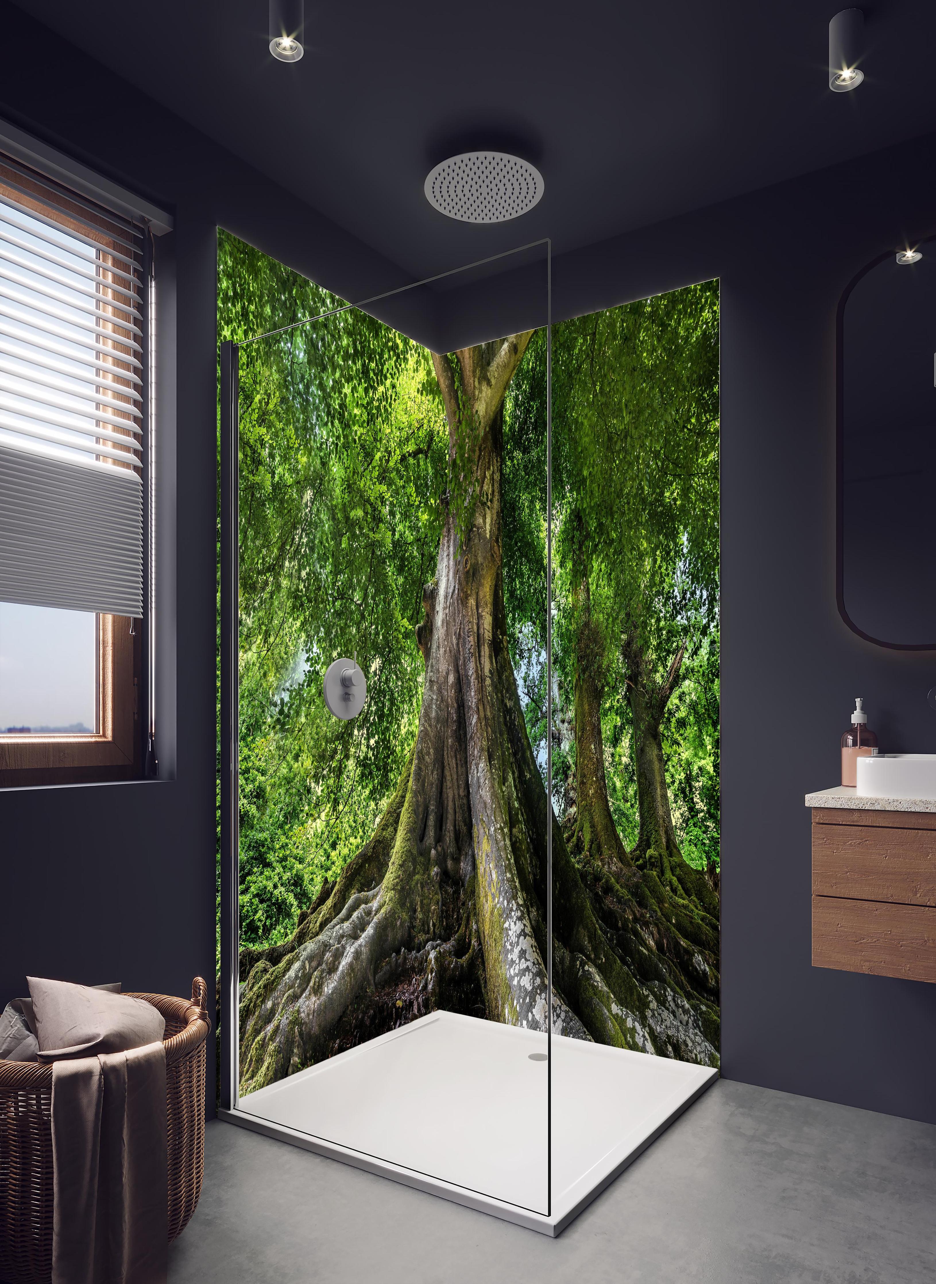 Duschrückwand - großer alter Baum in Froschperspektive in hellem Badezimmer mit Regenduschkopf - zweiteilige Eck-Duschrückwand