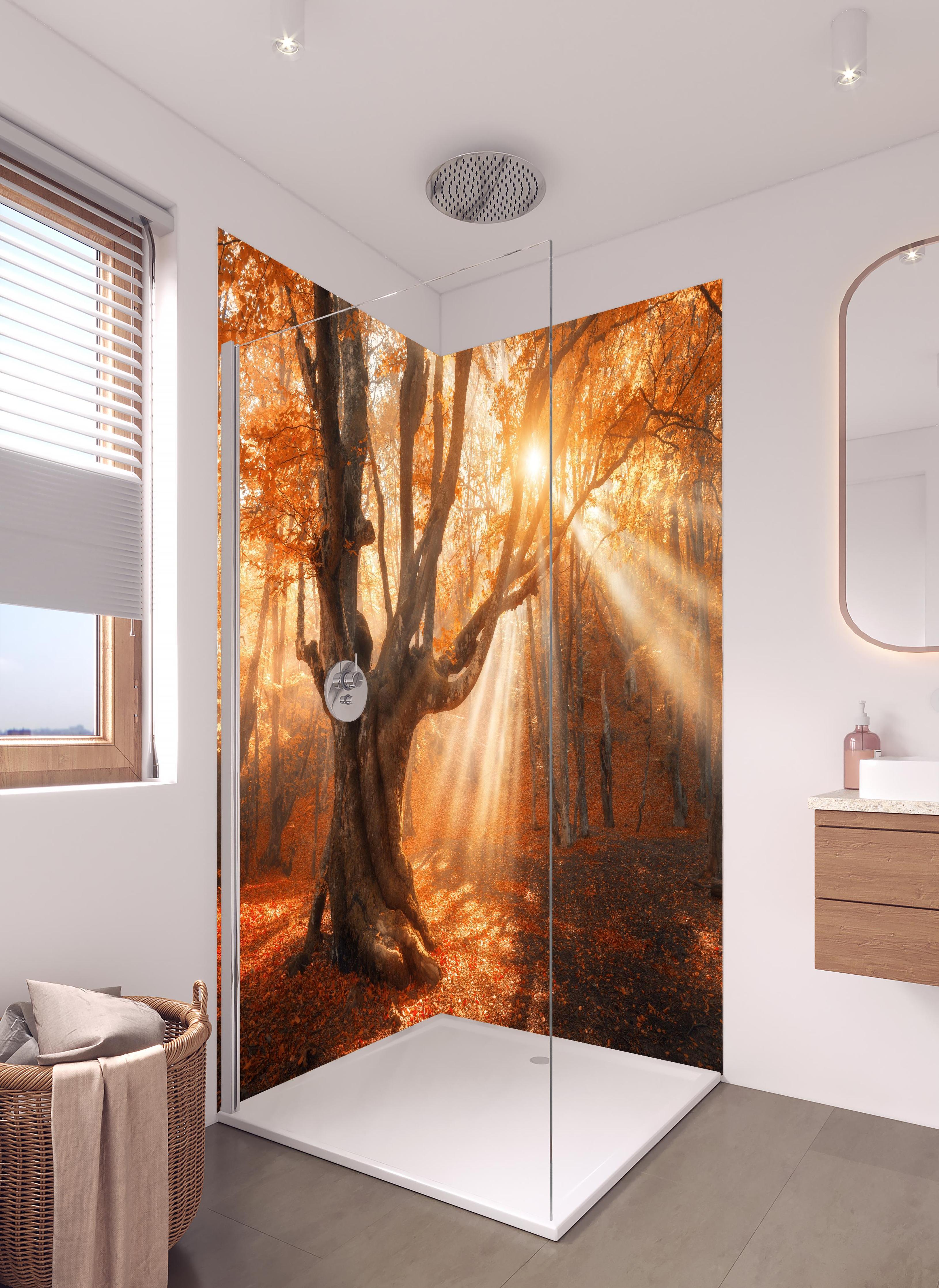 Duschrückwand - magischer alter Baum im Herbst in hellem Badezimmer mit Regenduschkopf - zweiteilige Eck-Duschrückwand