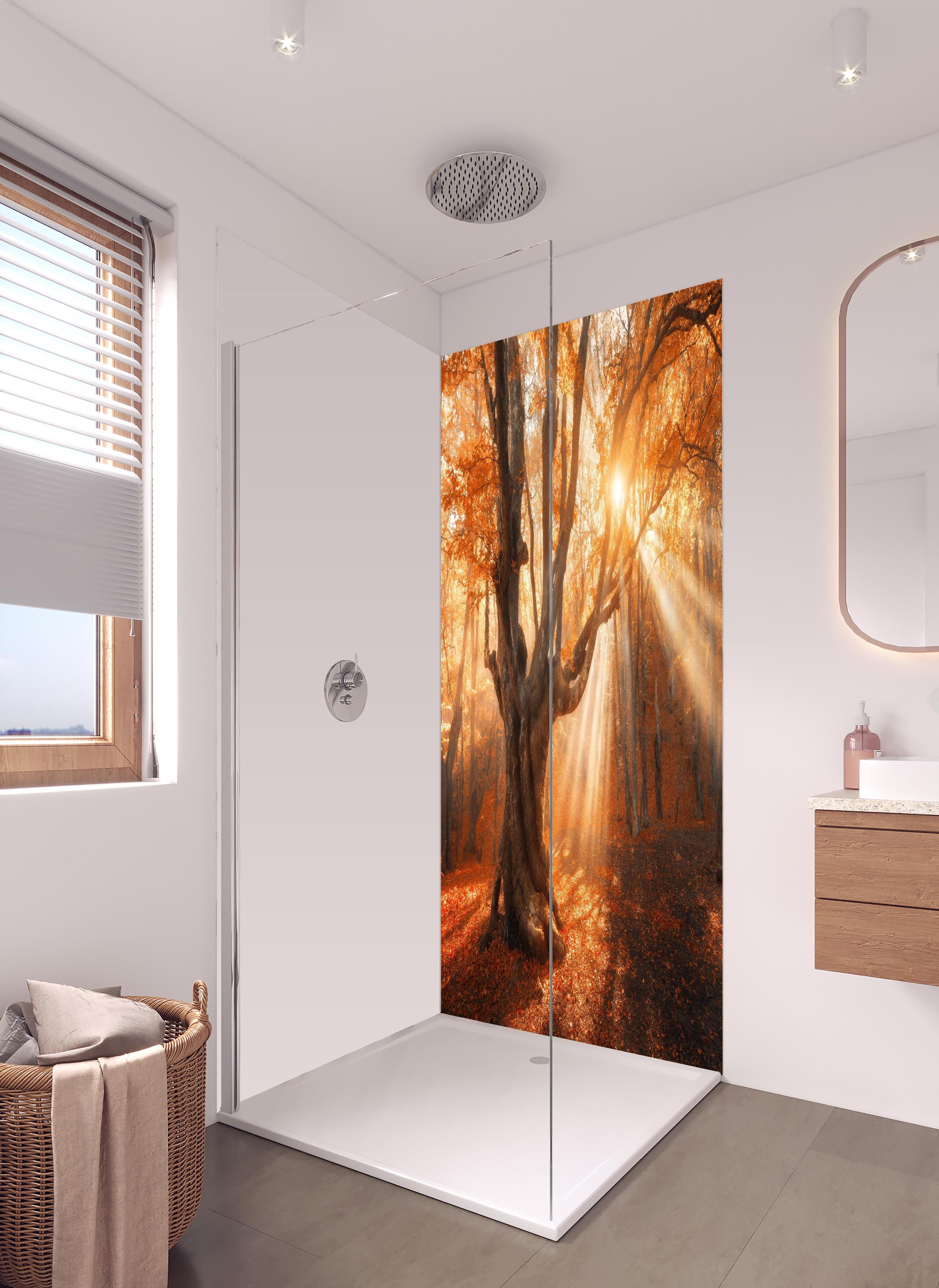 Duschrückwand - magischer alter Baum im Herbst in hellem Badezimmer mit Regenduschkopf - zweiteilige Eck-Duschrückwand