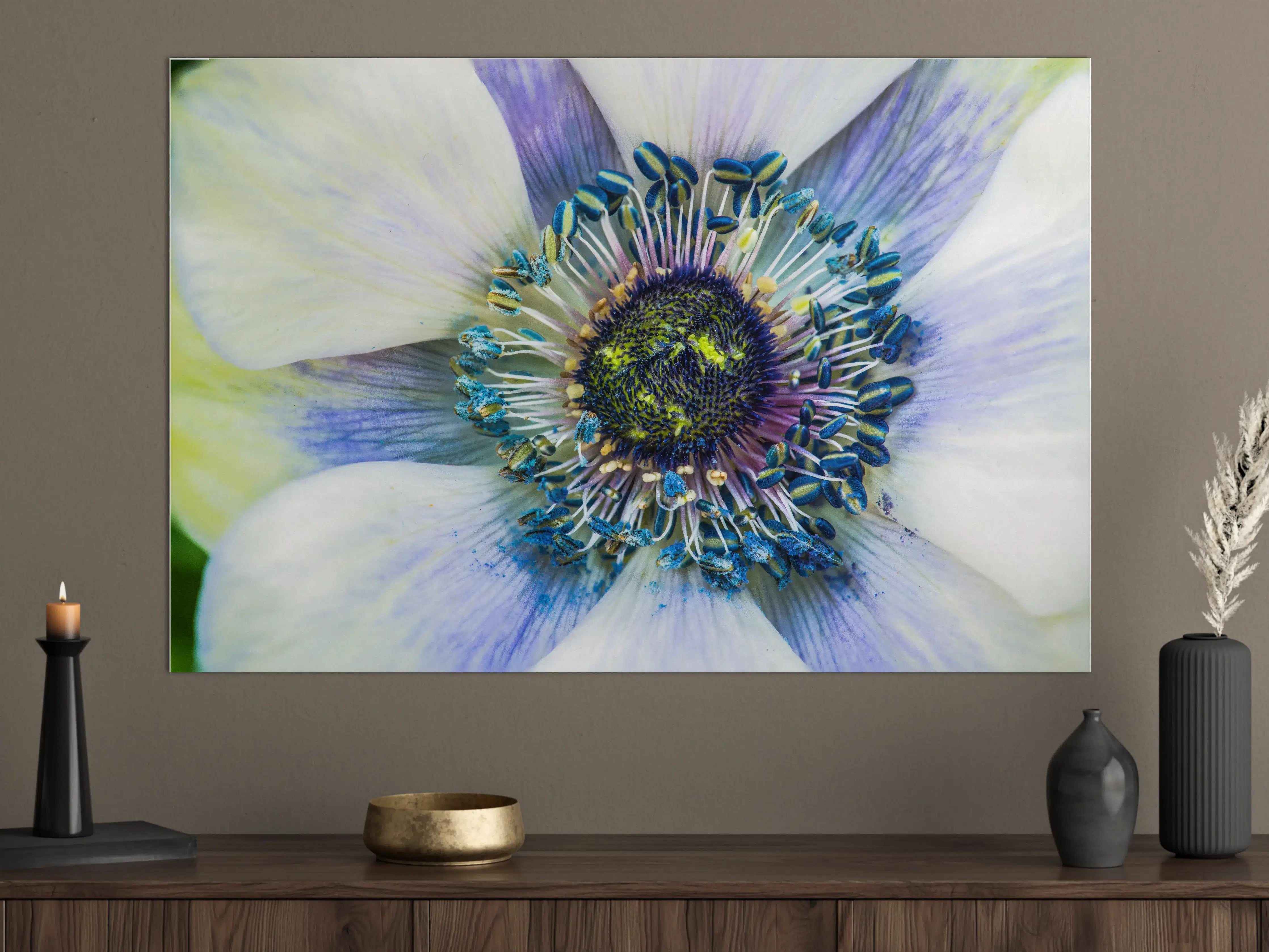 Große Wandbilder - hübsche aufblühende Blume
