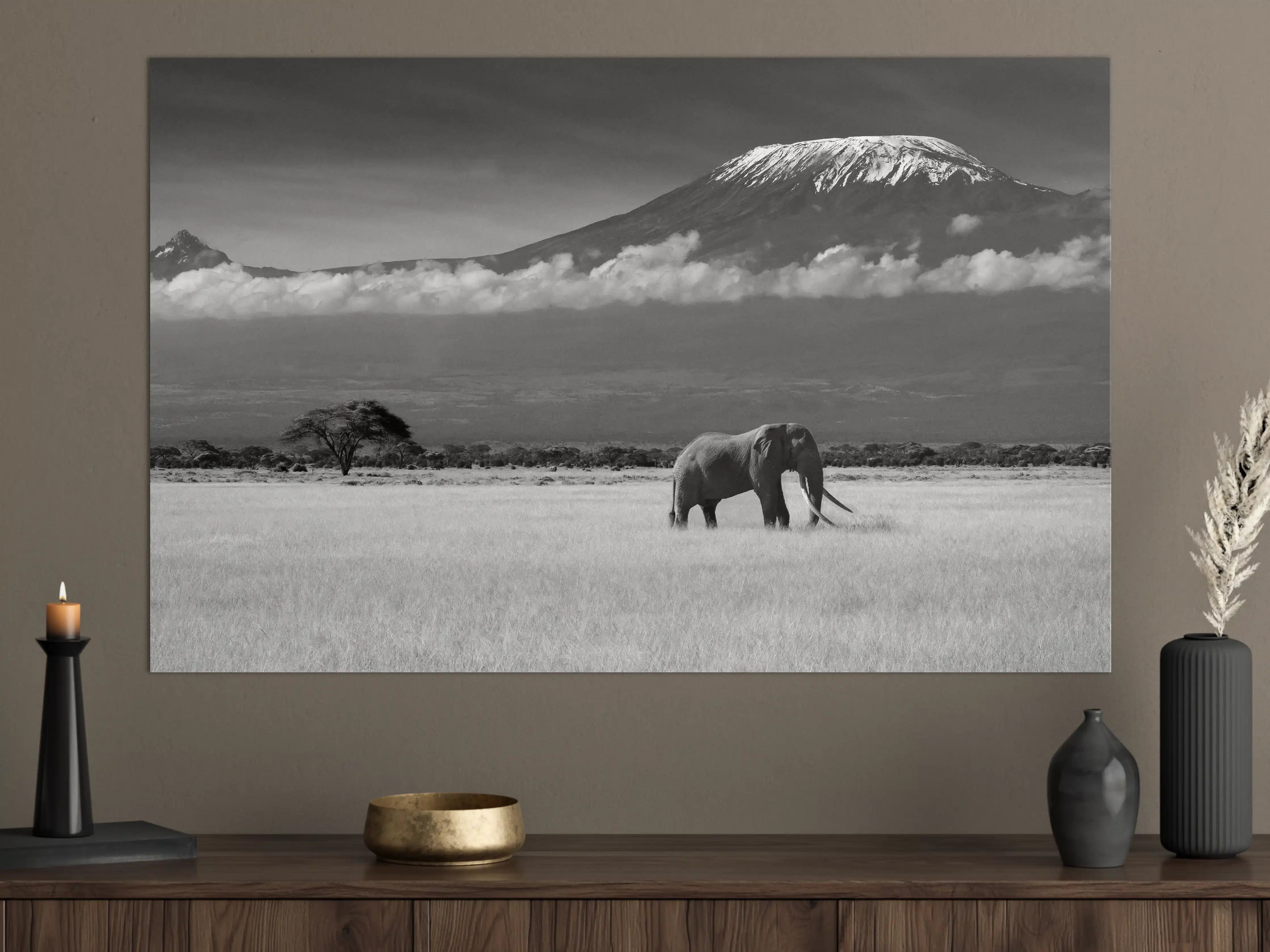 Große Wandbilder - Afrikanische Landschaft - Schwarz-weiß