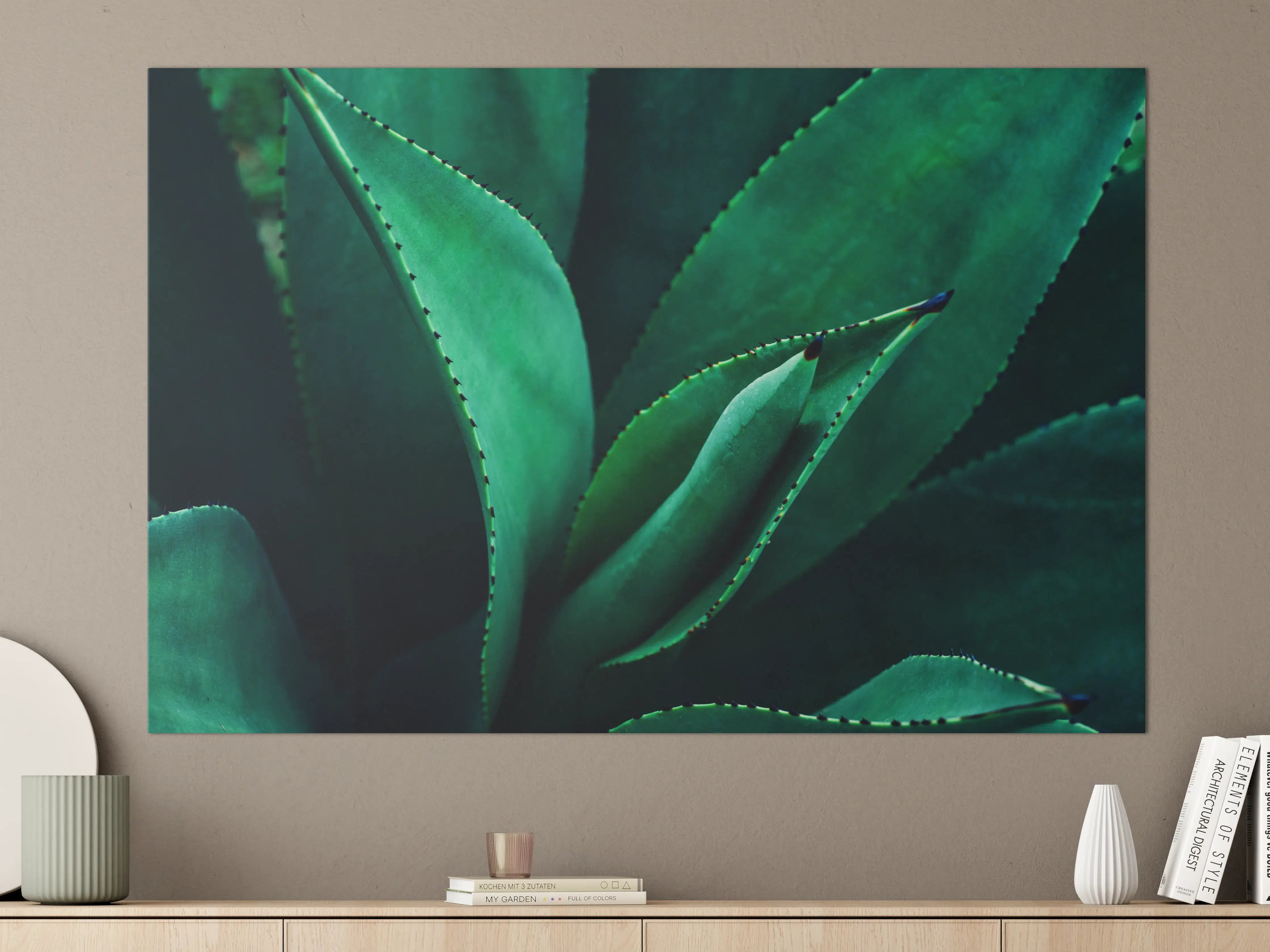Große Wandbilder - Agave Kaktus - Nahaufnahme