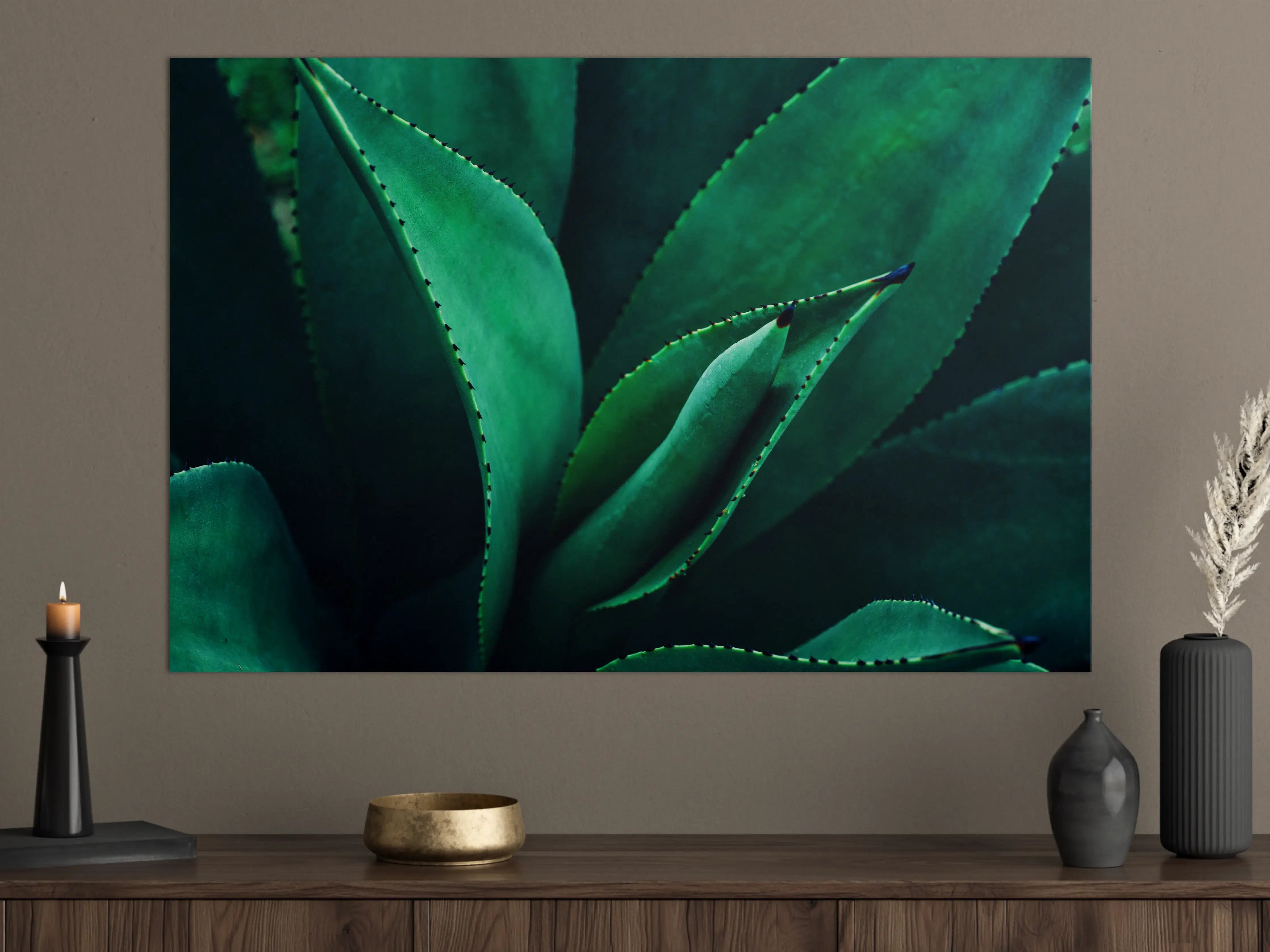 Große Wandbilder - Agave Kaktus - Nahaufnahme