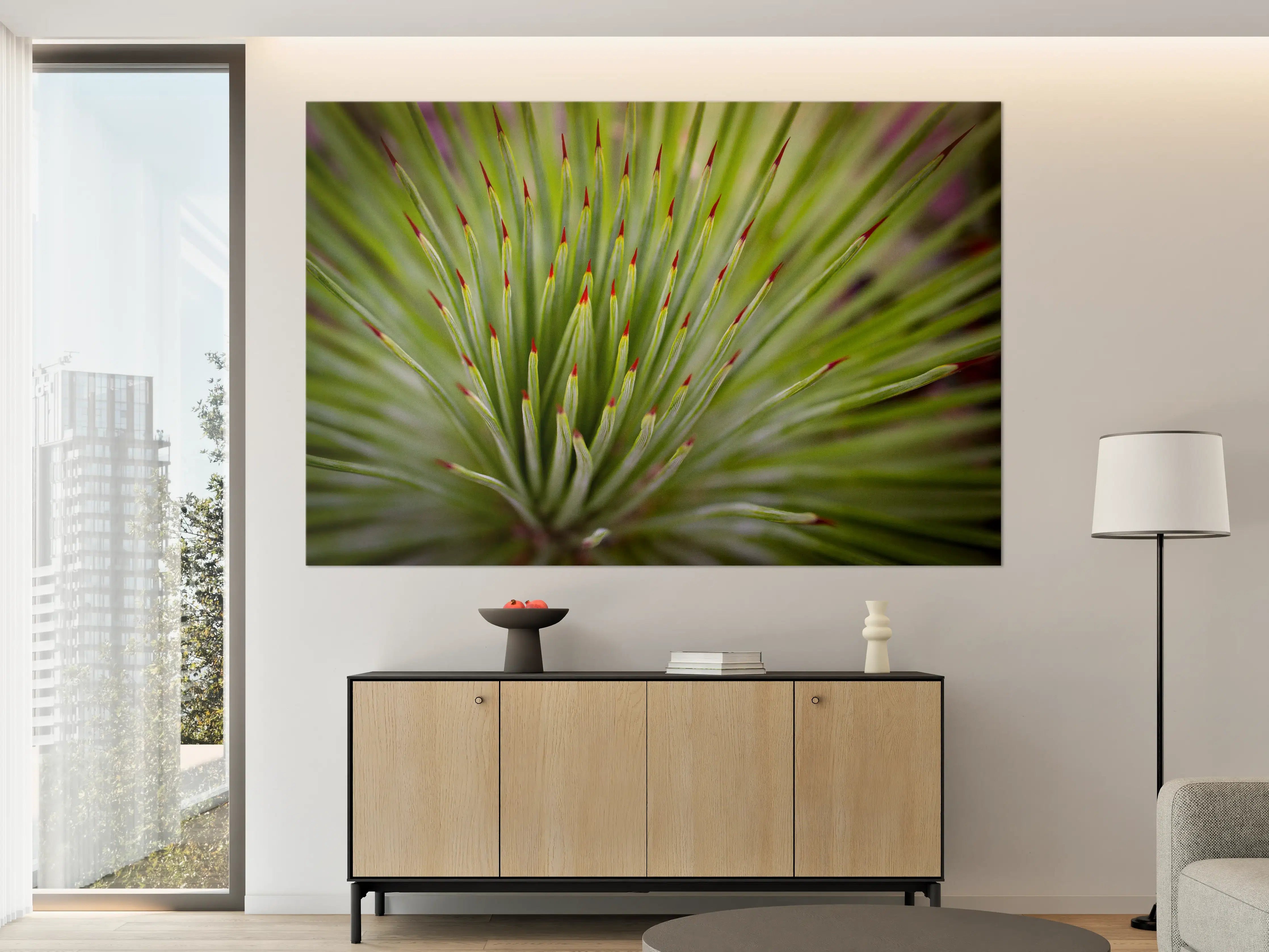 Große Wandbilder - Agave striata im Detail