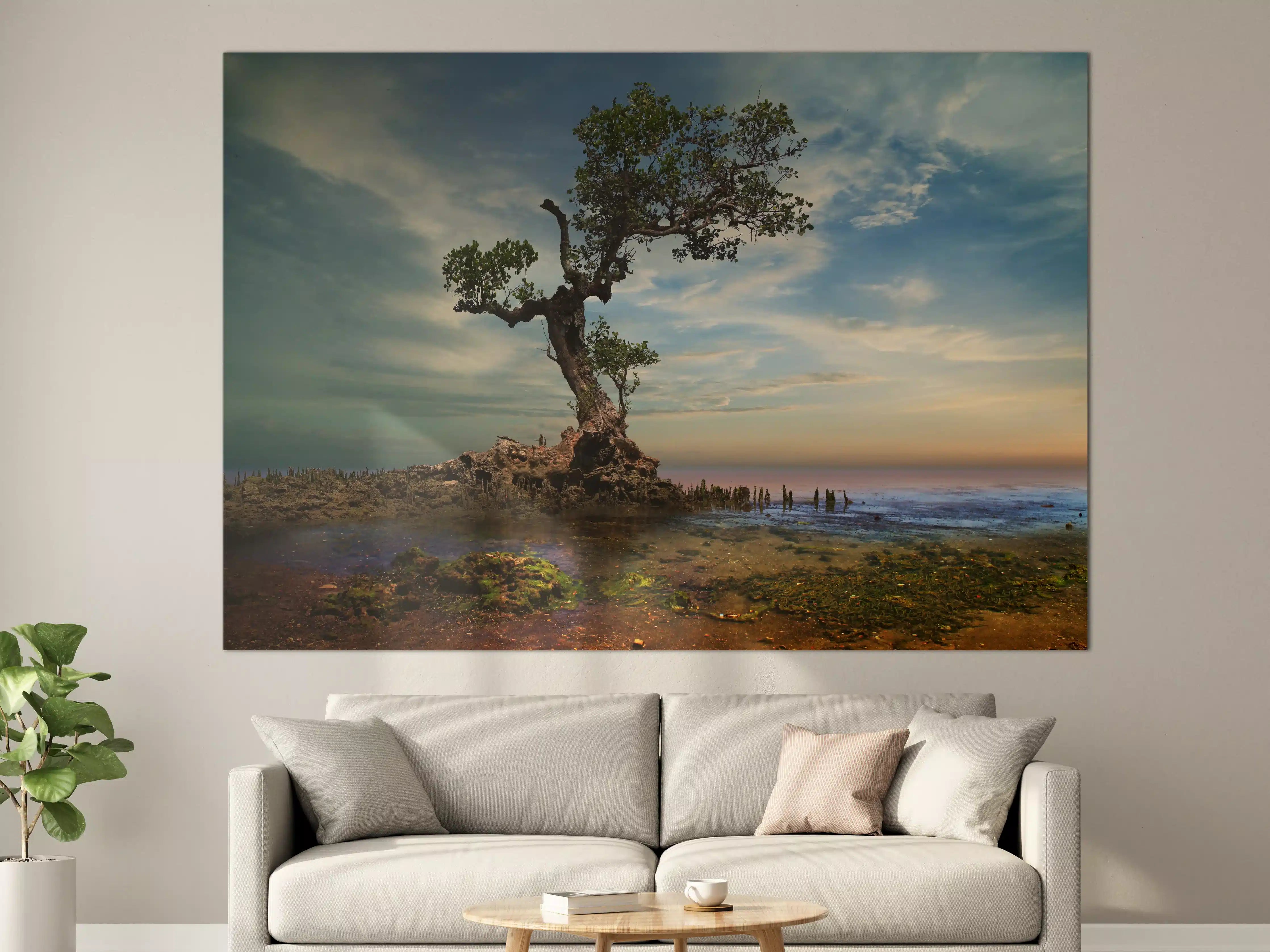 Große Wandbilder - Alter Baum am Strand