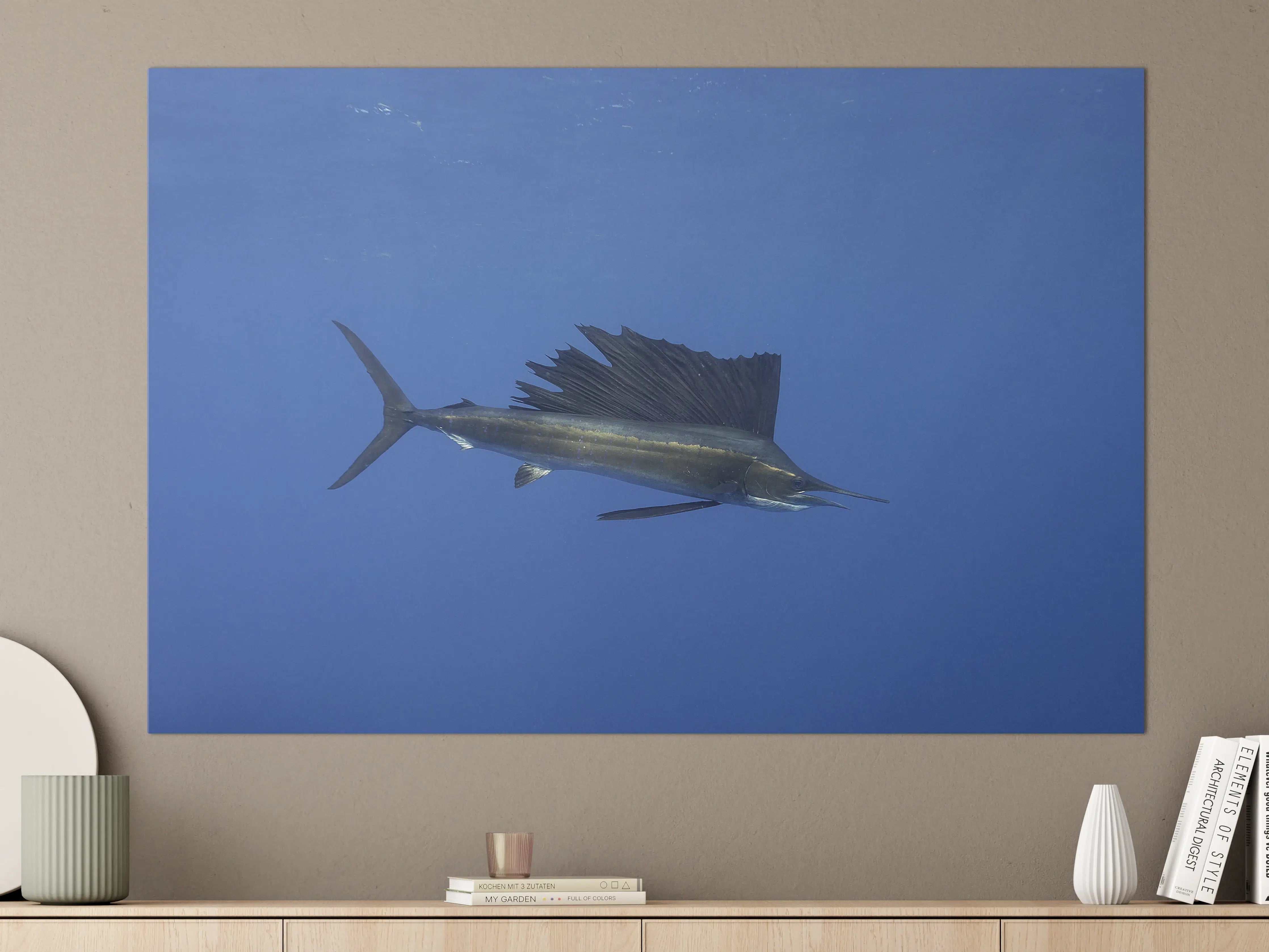 Große Wandbilder - Atlantischer Segelfisch vor Küste Mexico