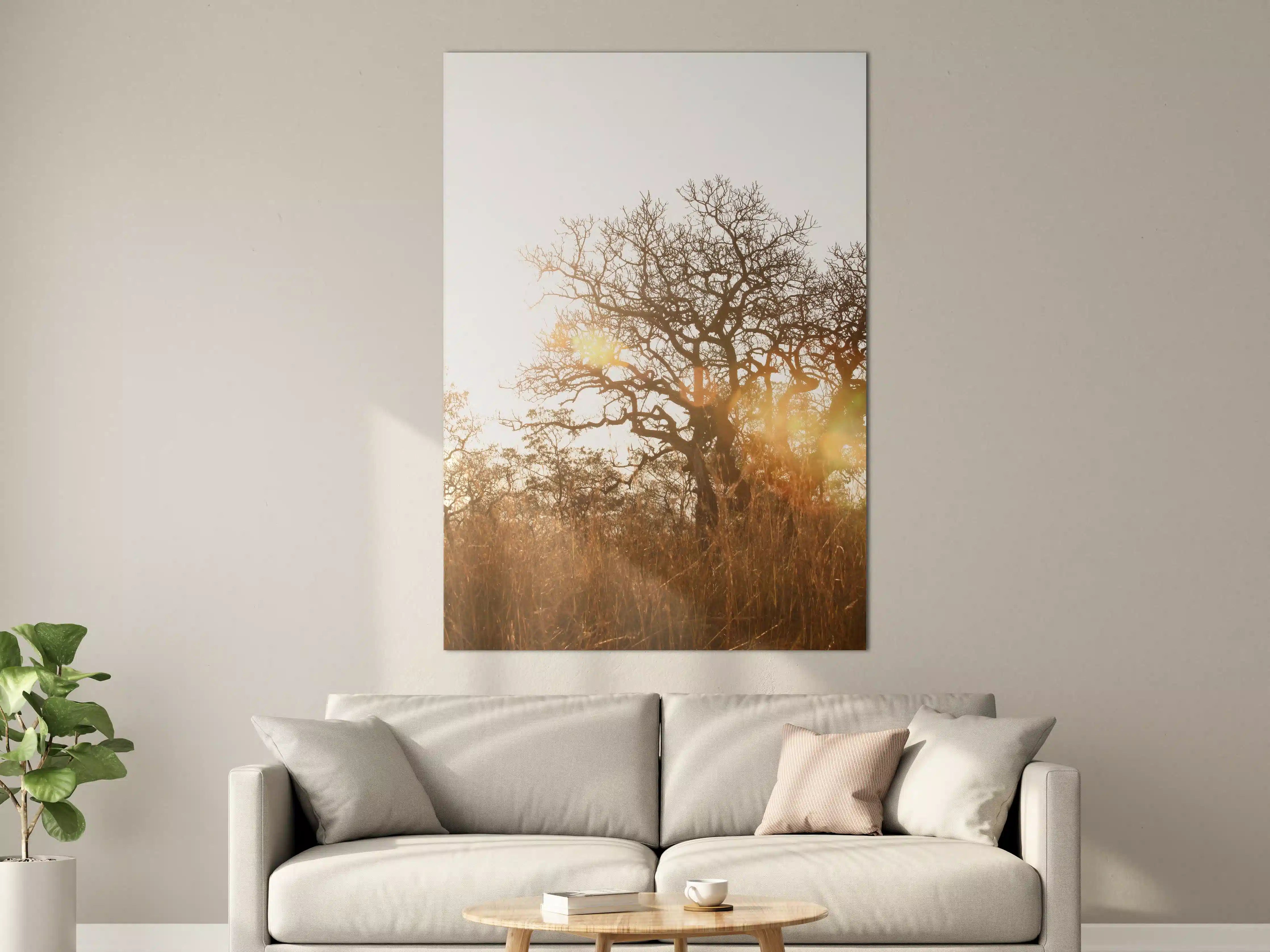 Große Wandbilder - Baum im Feld