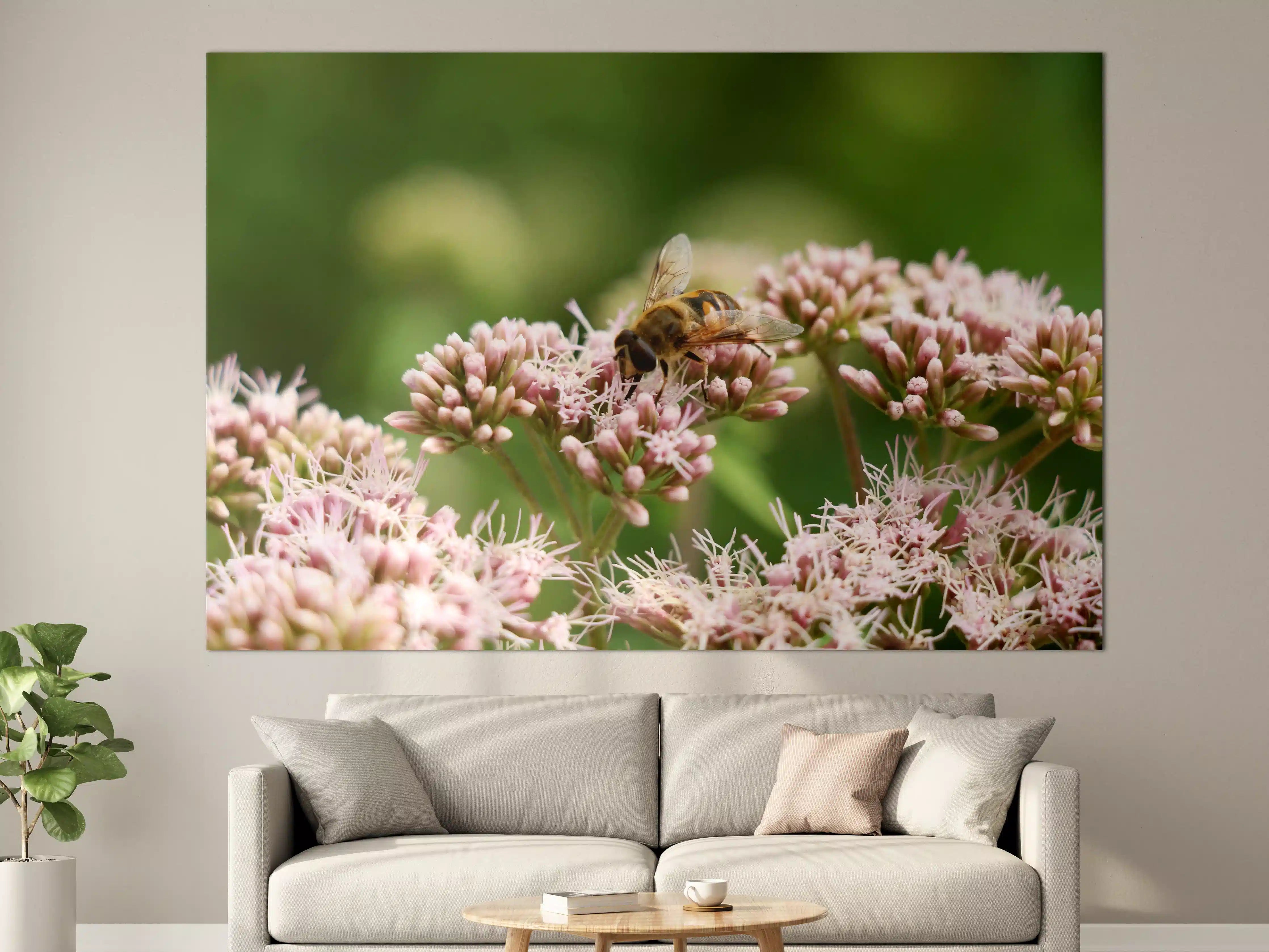 Große Wandbilder - Biene auf Rosa Blüten Makro