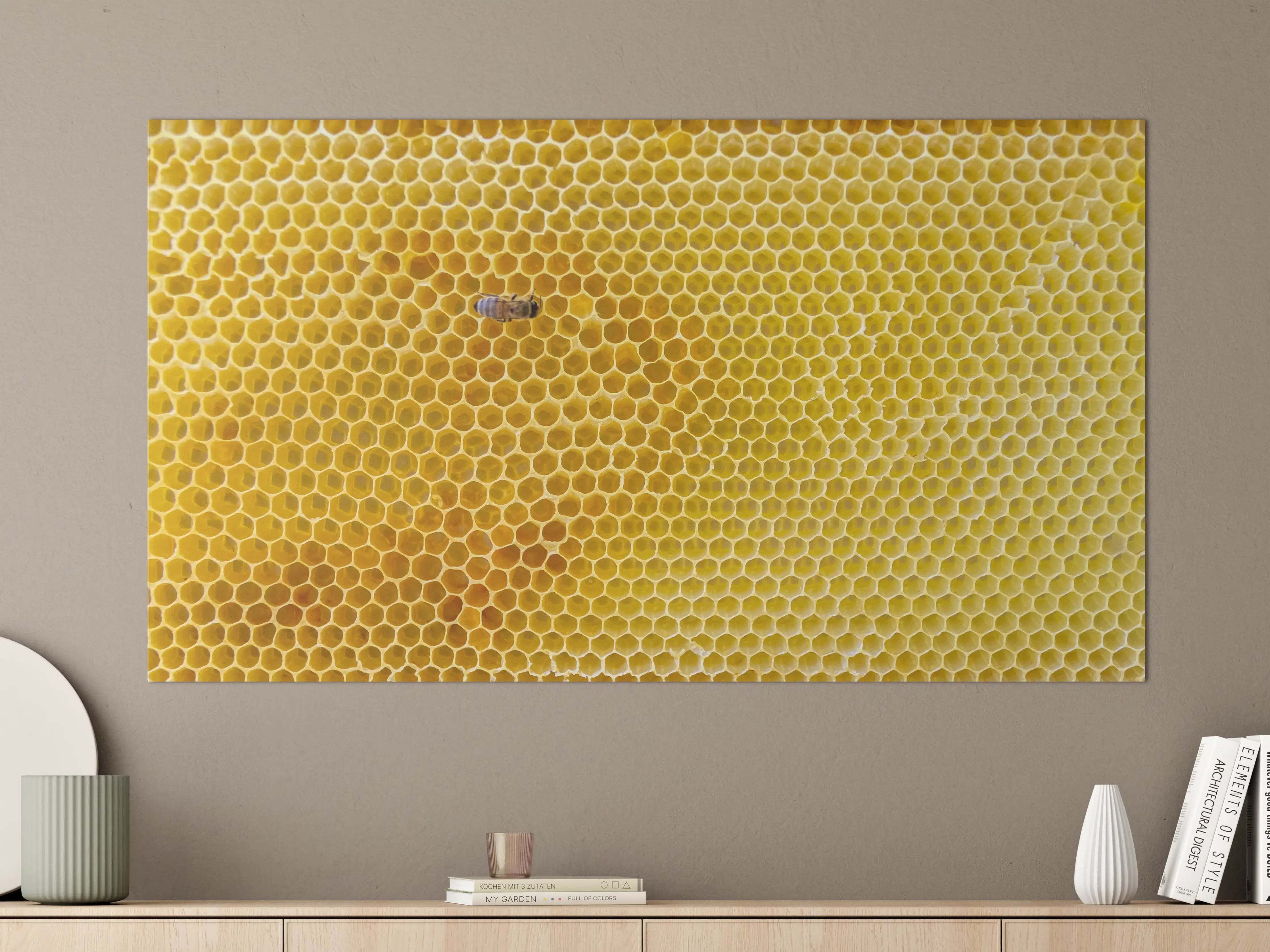 Große Wandbilder - Bienensammler auf Honigwabe
