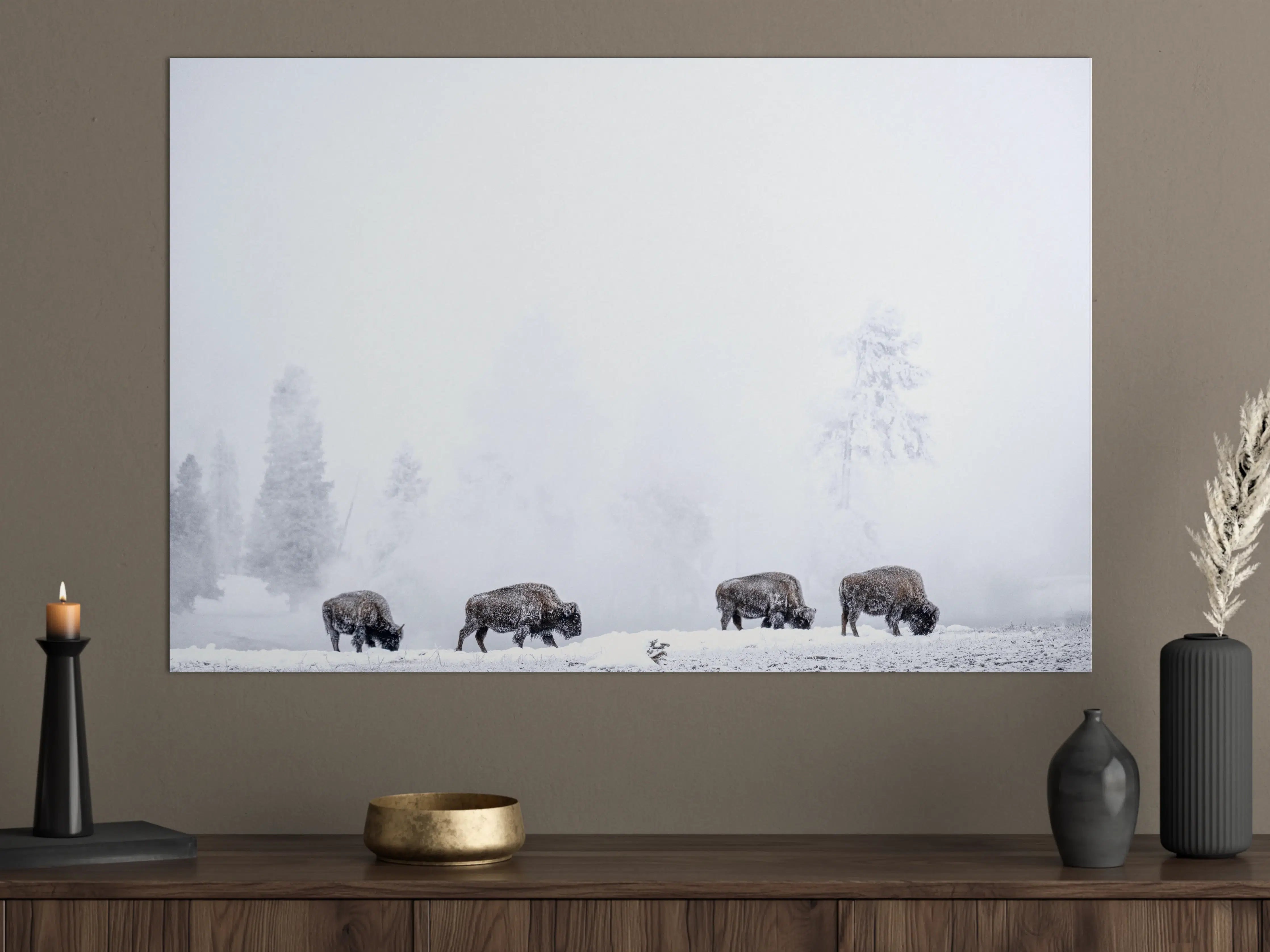 Große Wandbilder - Bisons im kalten Wald