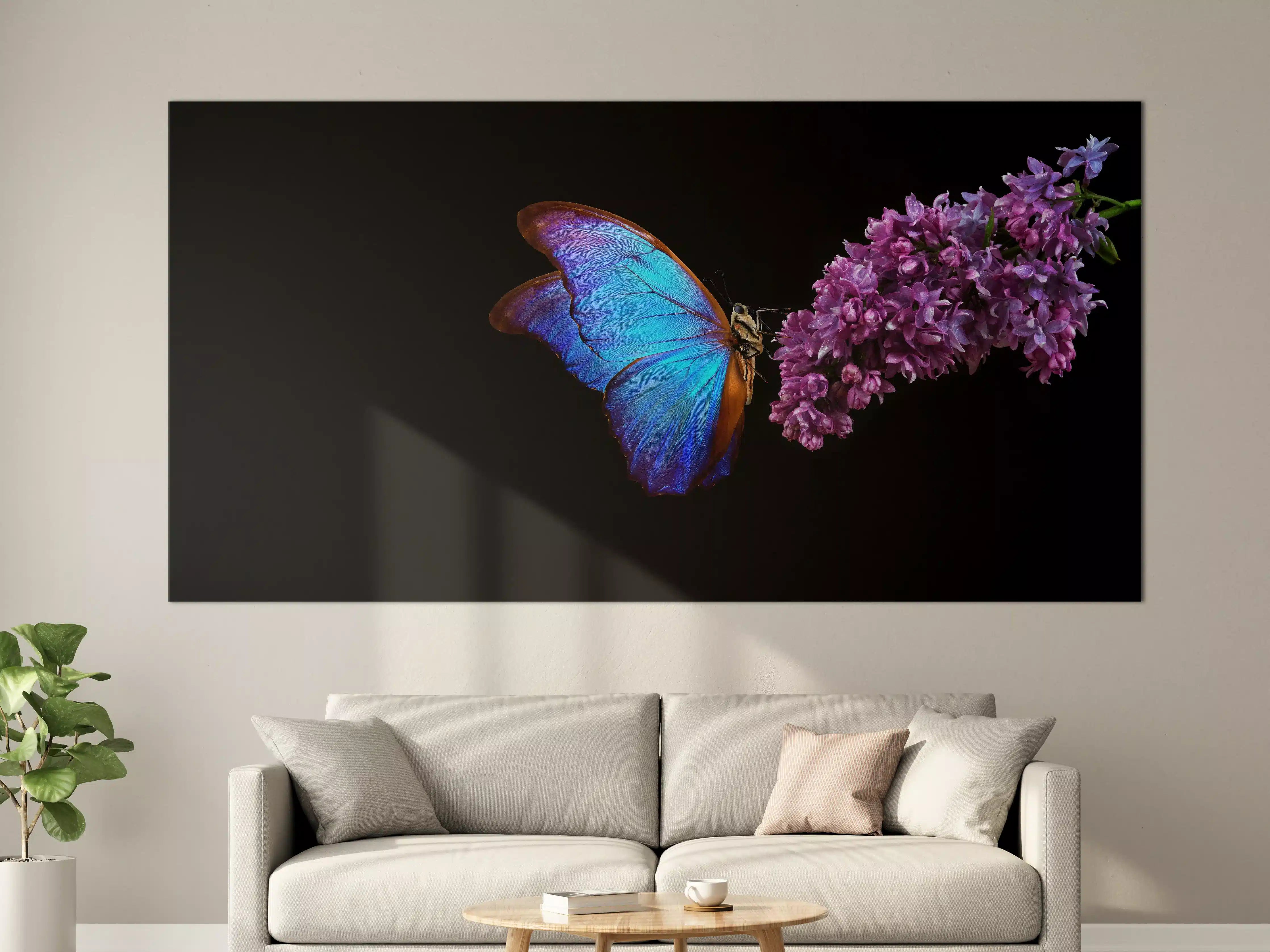 Große Wandbilder - Bläulicher Schmetterling auf Blume