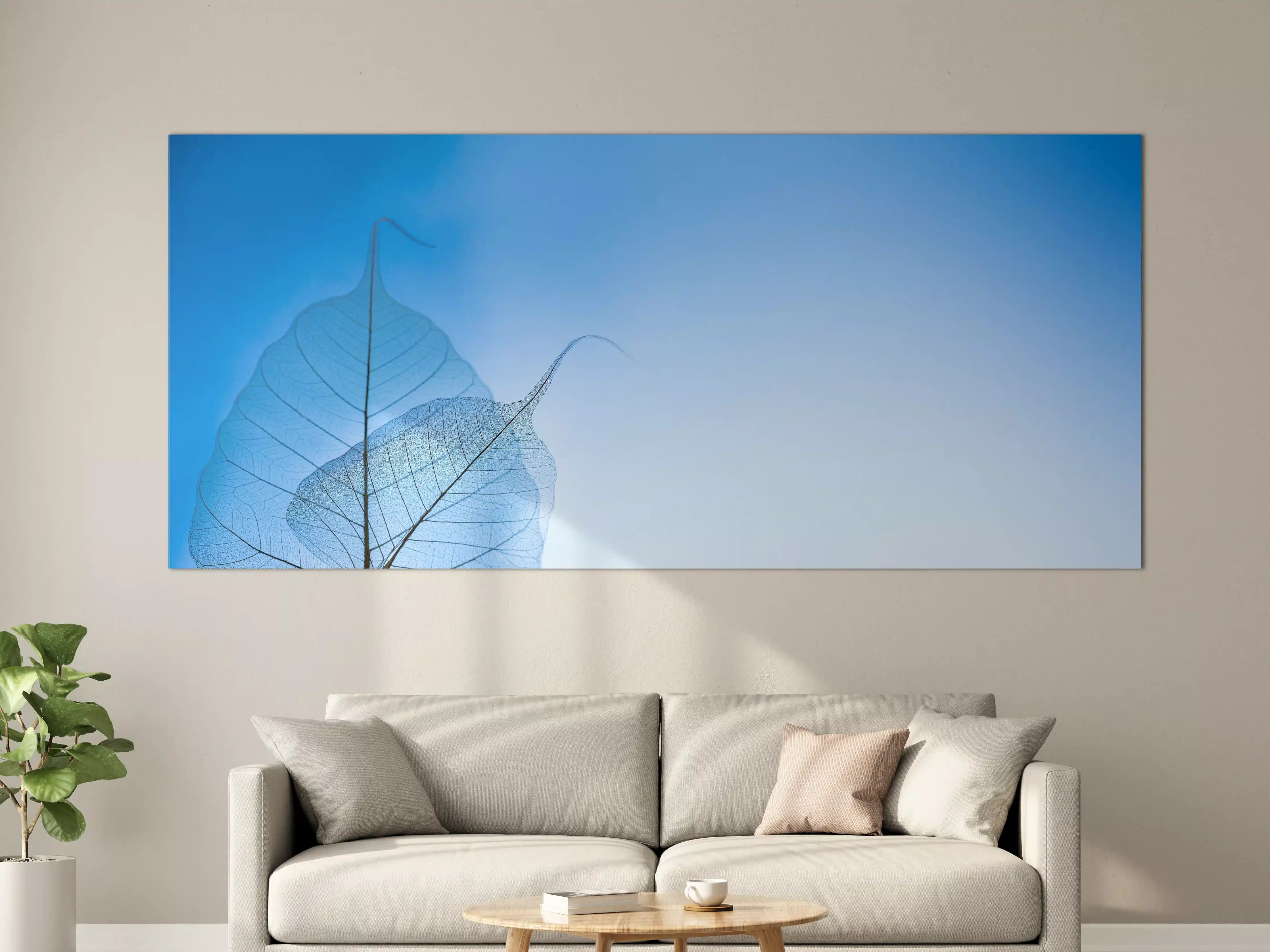 Große Wandbilder - Blau-Veined Transparentes Blattbild